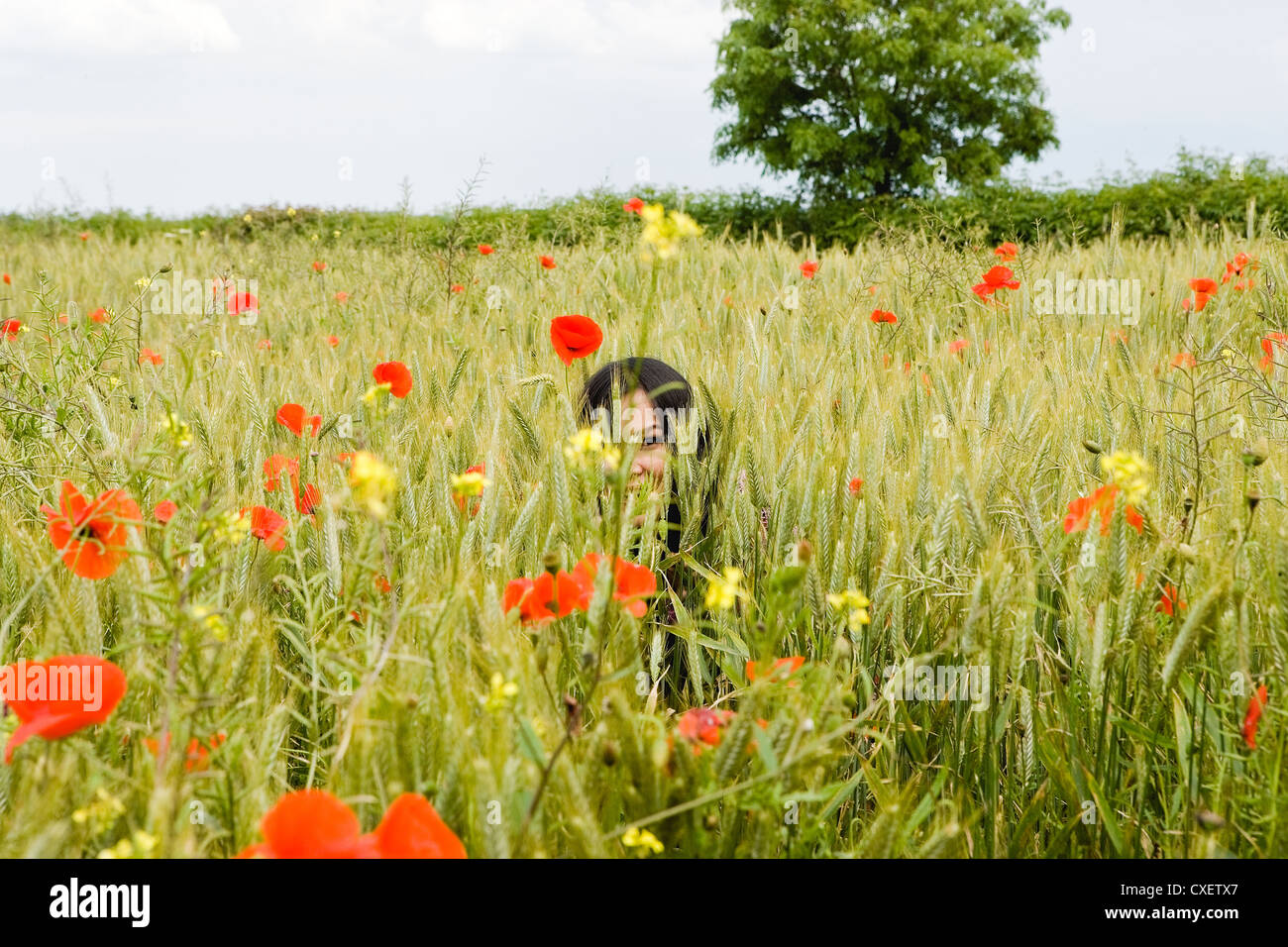 Thai Girl versteckt im Weizenfeld mit Mohnblumen Stockfoto