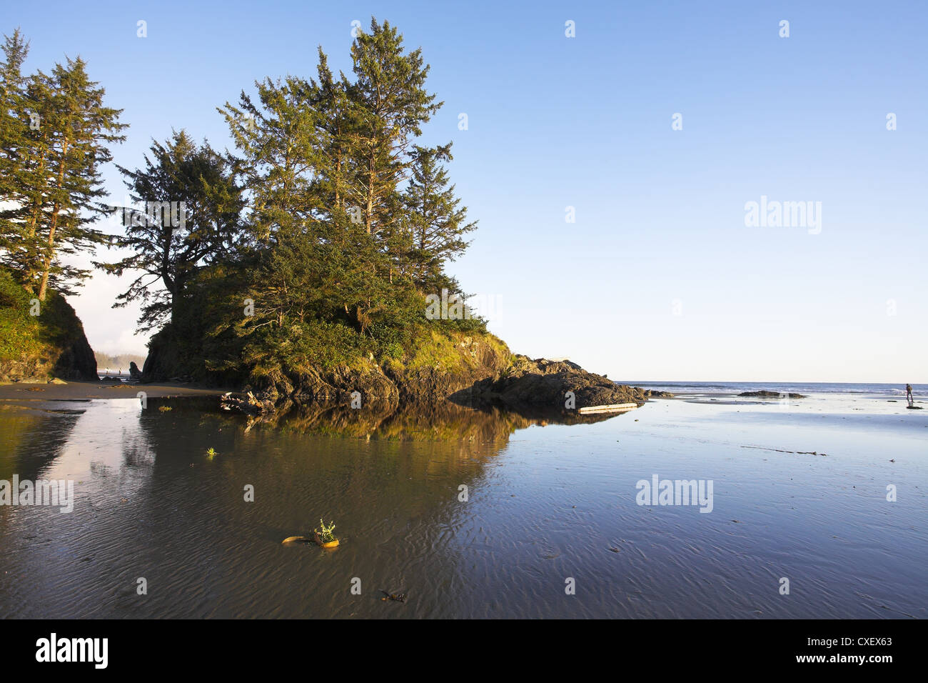 Inseln auf einem riesigen Sandstrand Stockfoto