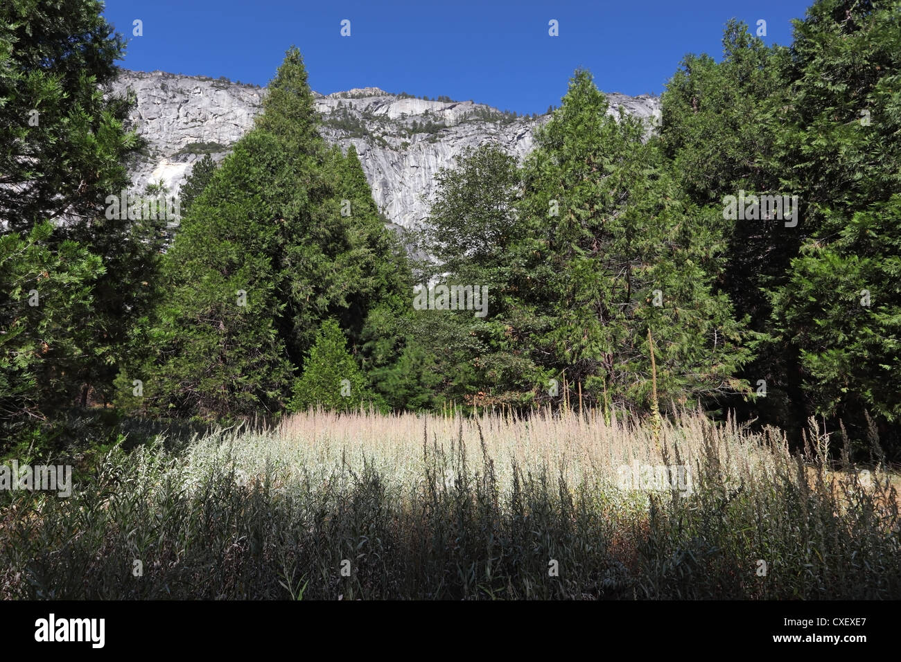 Berge von Kalifornien Stockfoto