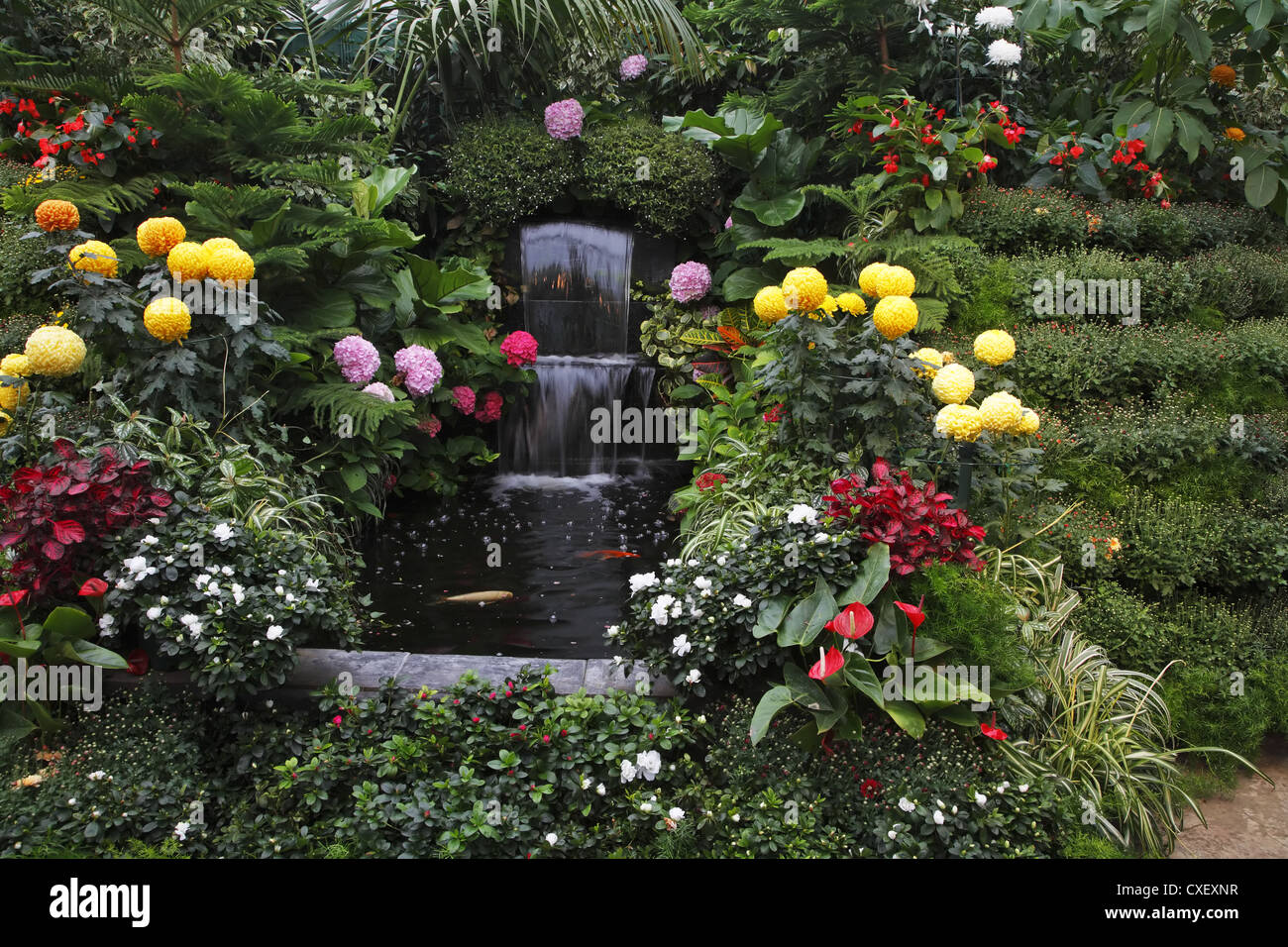 Herrliche Brunnen in Vancouver island Stockfoto