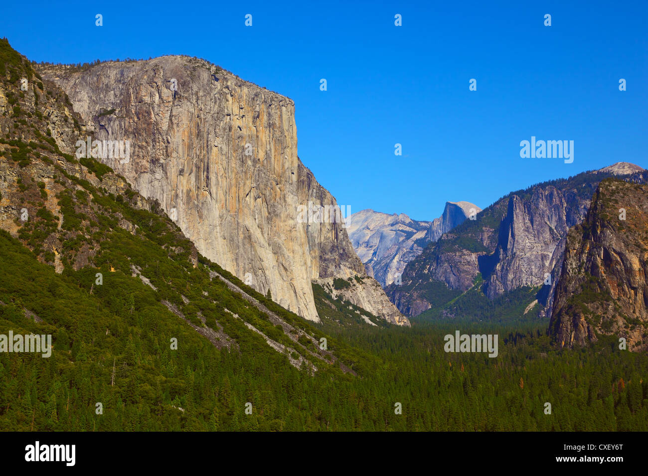 Die felsigen Monolith El-Kapitän Stockfoto