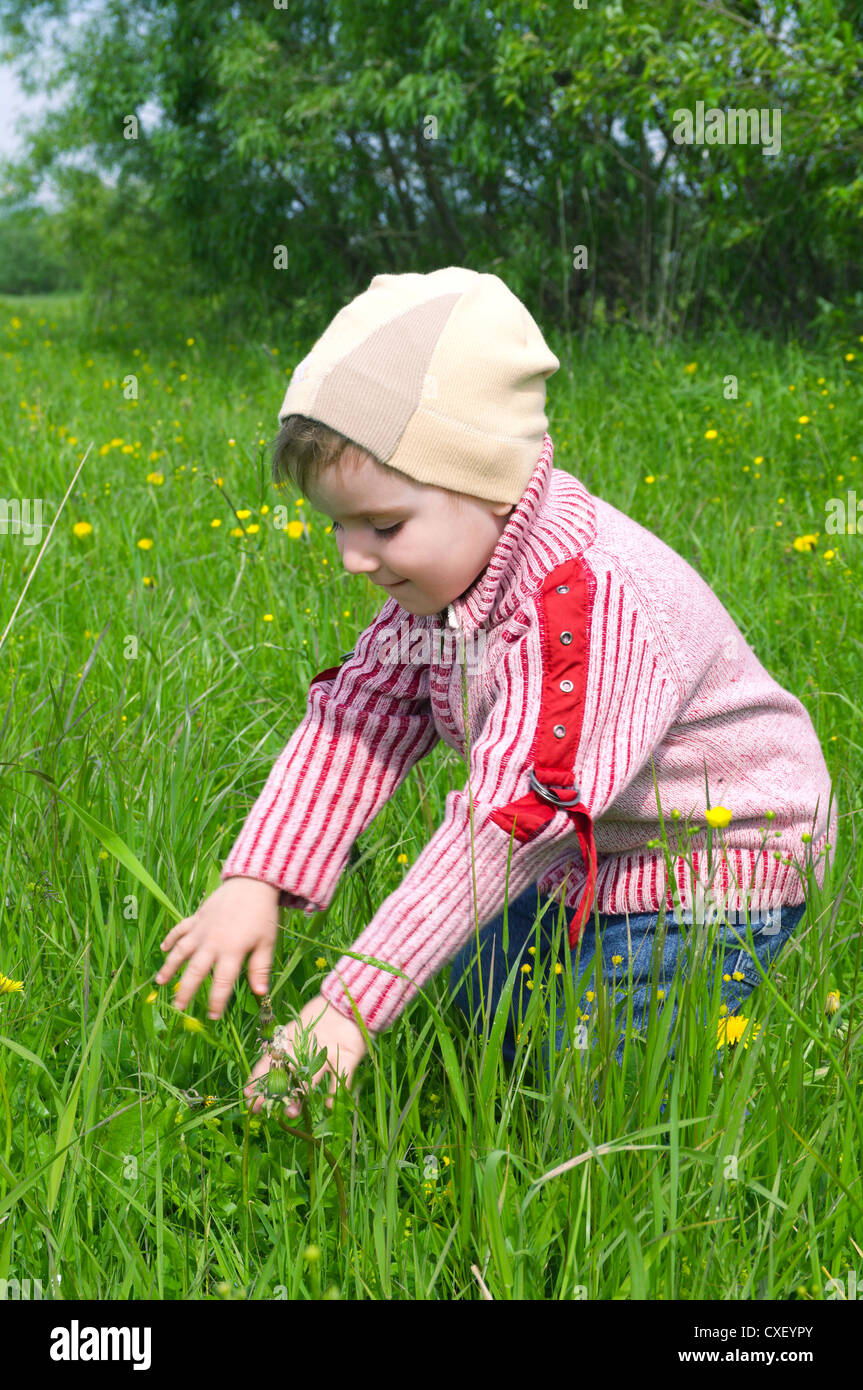 Junge sucht Fehler im Kräutergarten Stockfoto