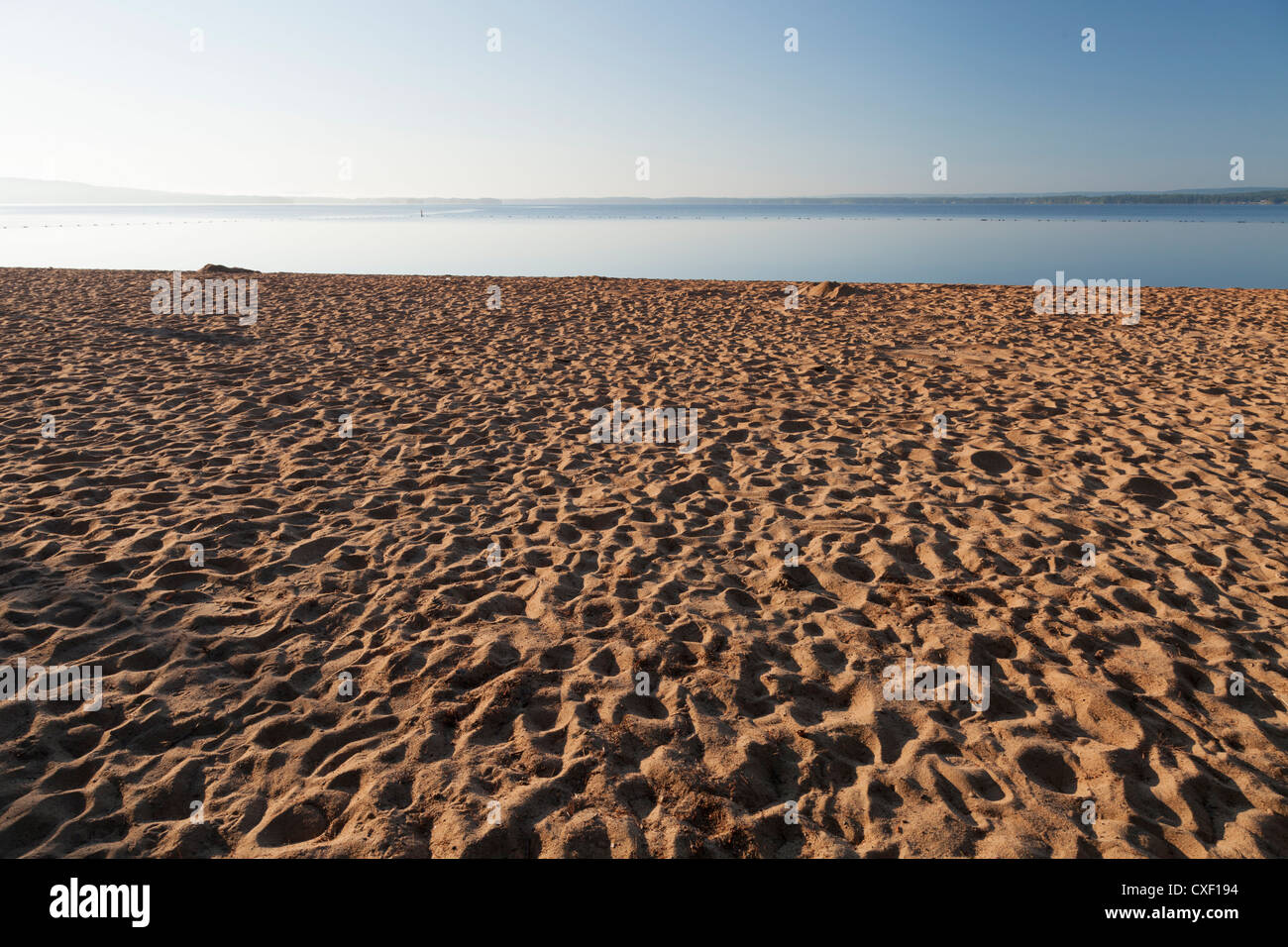 Sandy Beach im Morgenlicht Stockfoto