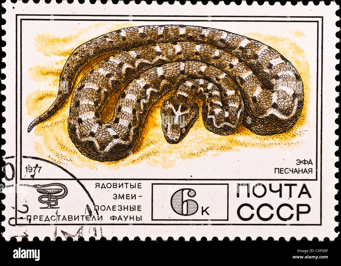 Briefmarke zeigt Giftschlange Stockfoto