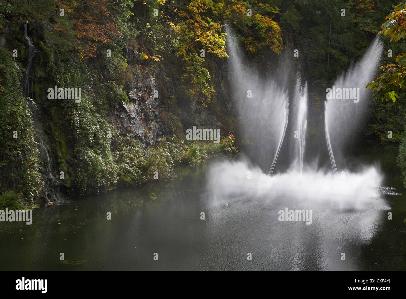 Flügel. Stockfoto