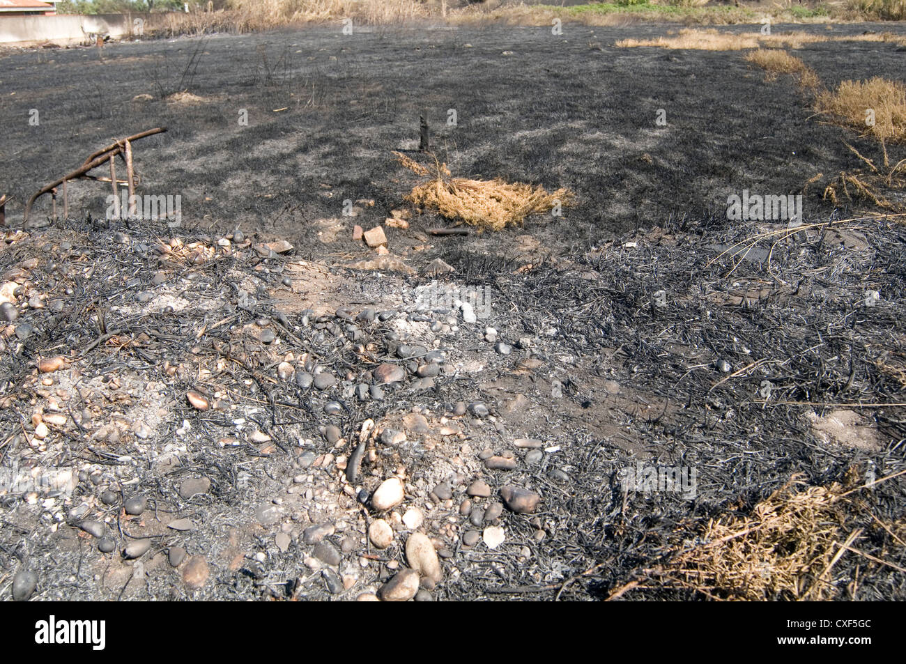 verbrannte Erde Boden Boden Wald Feuer Feuer Asche verbrannt Stockfoto