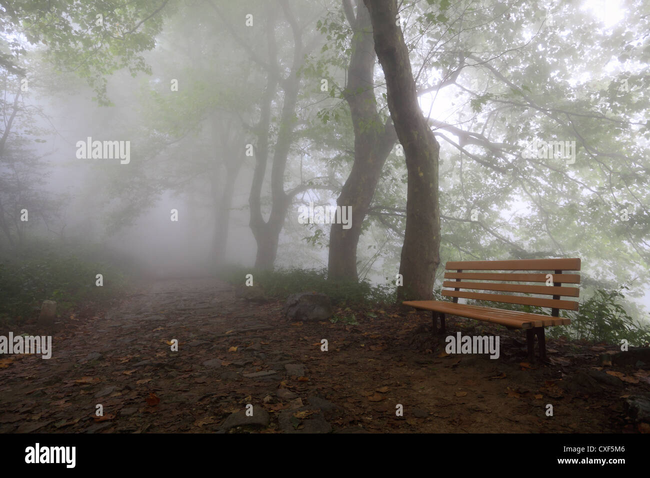 Bergweg und Stuhl im Nebel Stockfoto