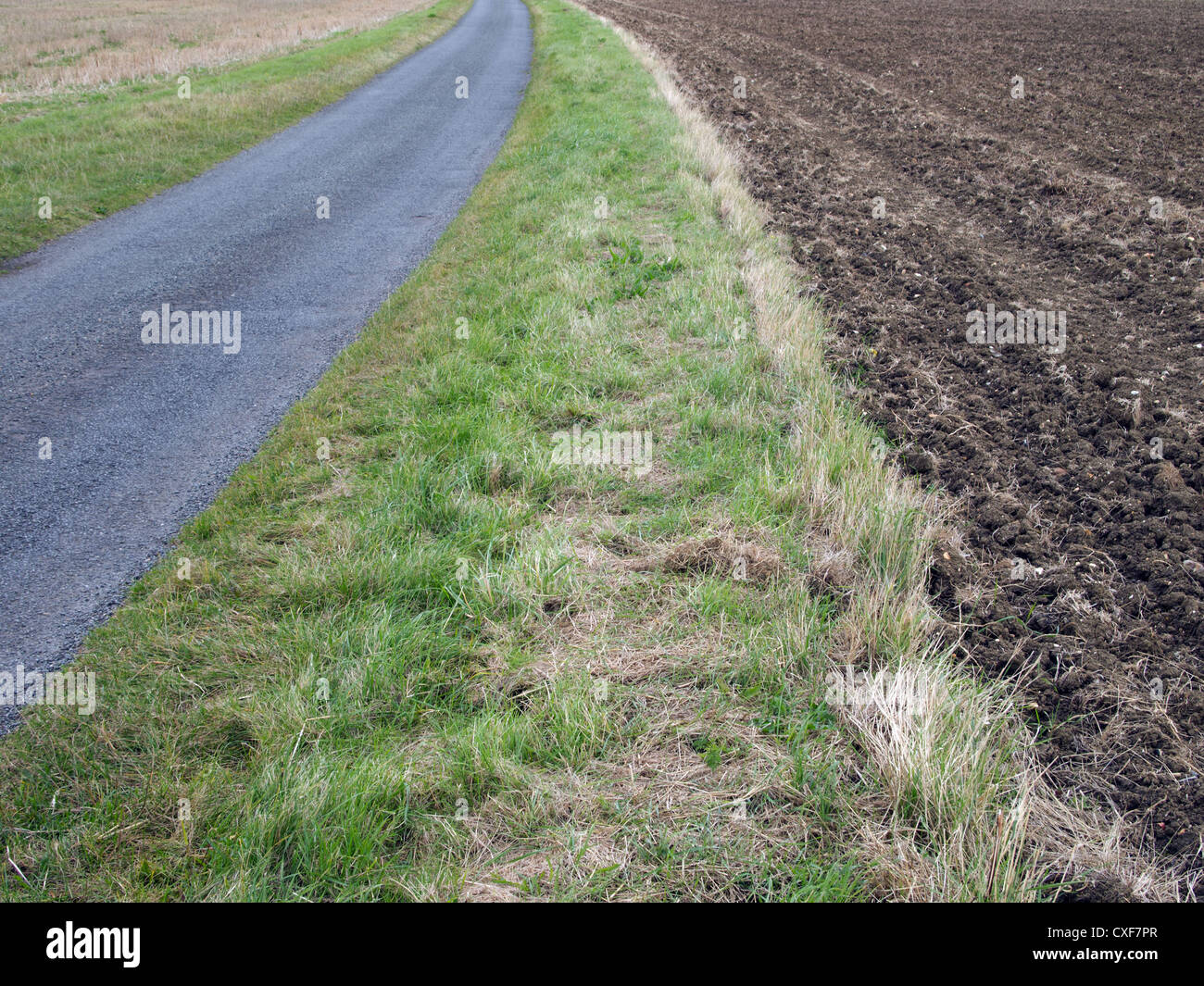 Grass Boarder oder Rande zwischen eine Straße und ein Acker Stockfoto