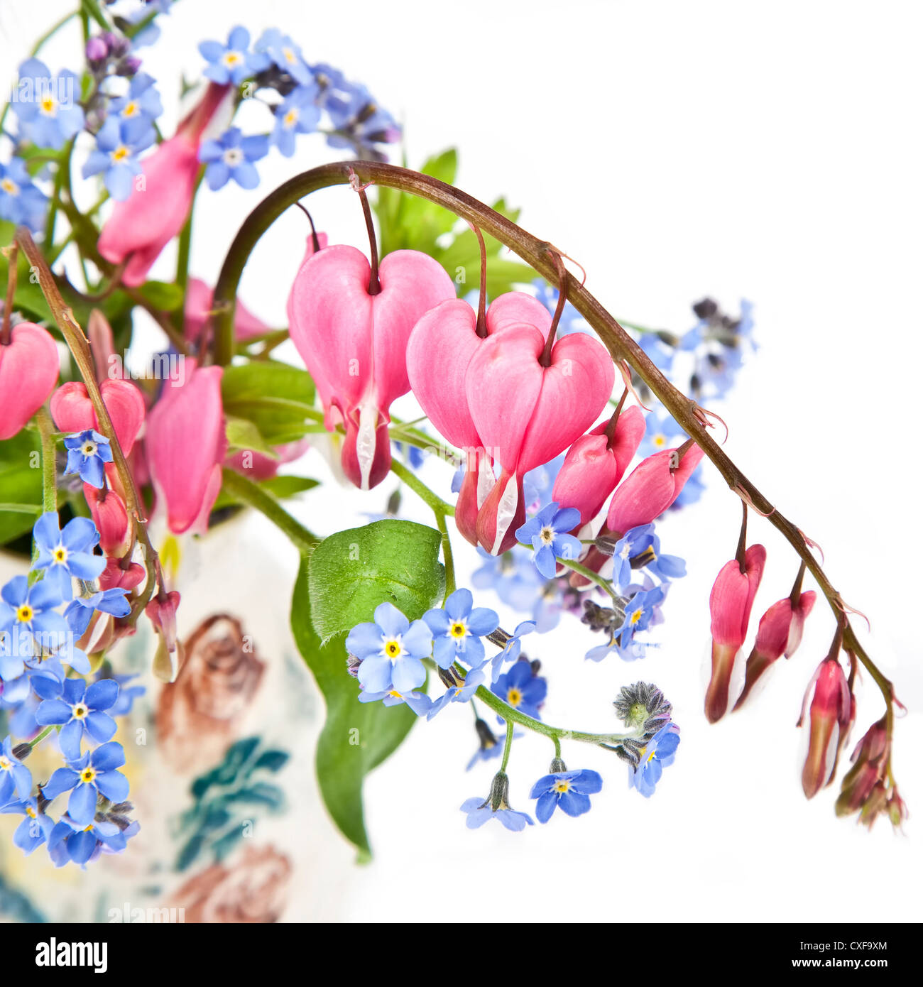 Ein Bouquet von Blutungen Herzen und vergiß mich Habenichtse in einer kleinen Töpferei Vase. Stockfoto