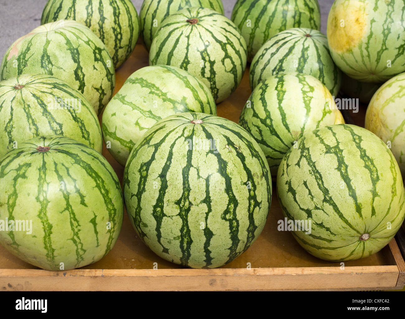 Große Wassermelone vermarkten Anzeige in einer Zeile köstliche Sommerfrüchte Stockfoto