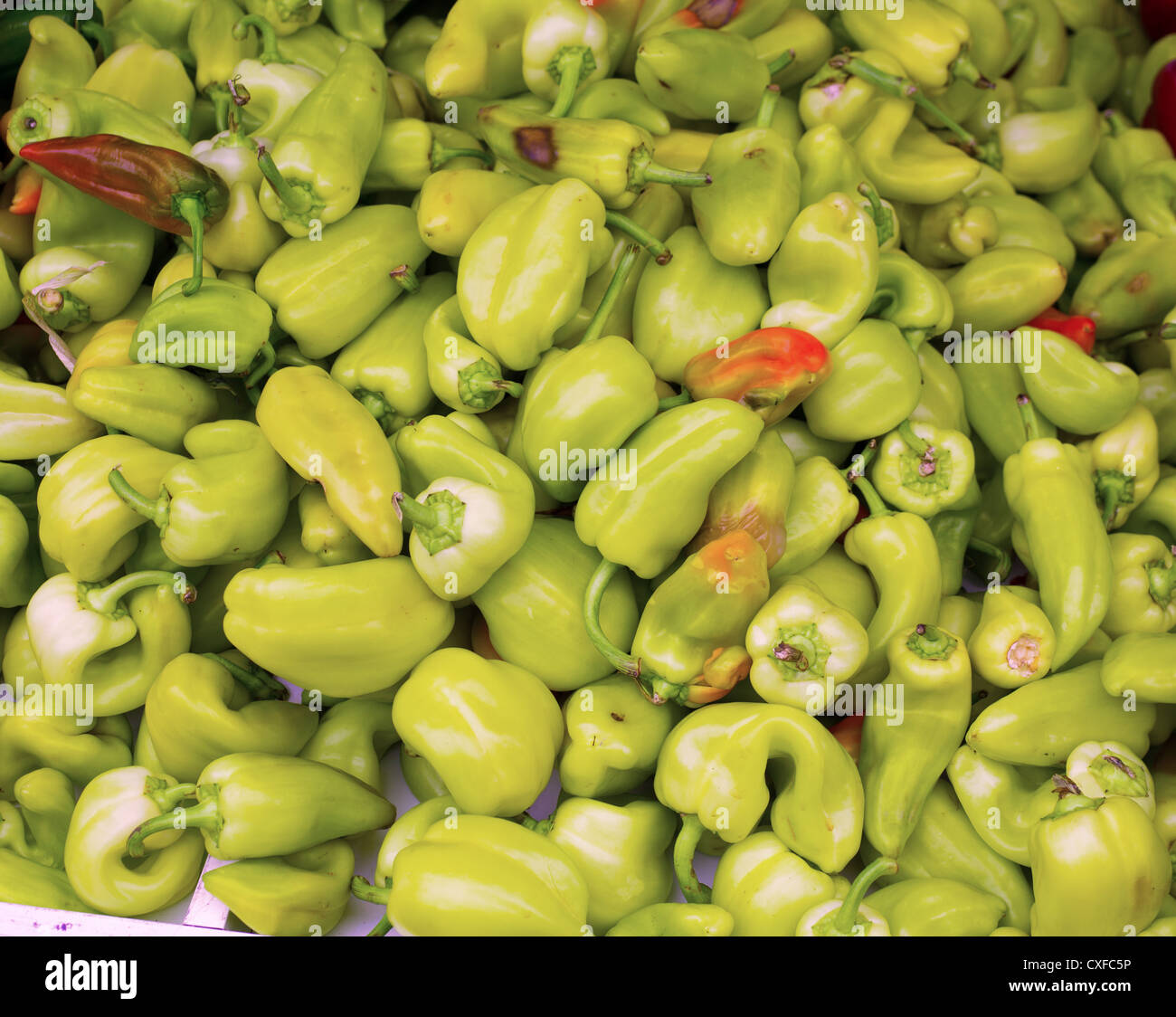 Grüne Paprika in einer Markt-Anzeige als Muster Stockfoto