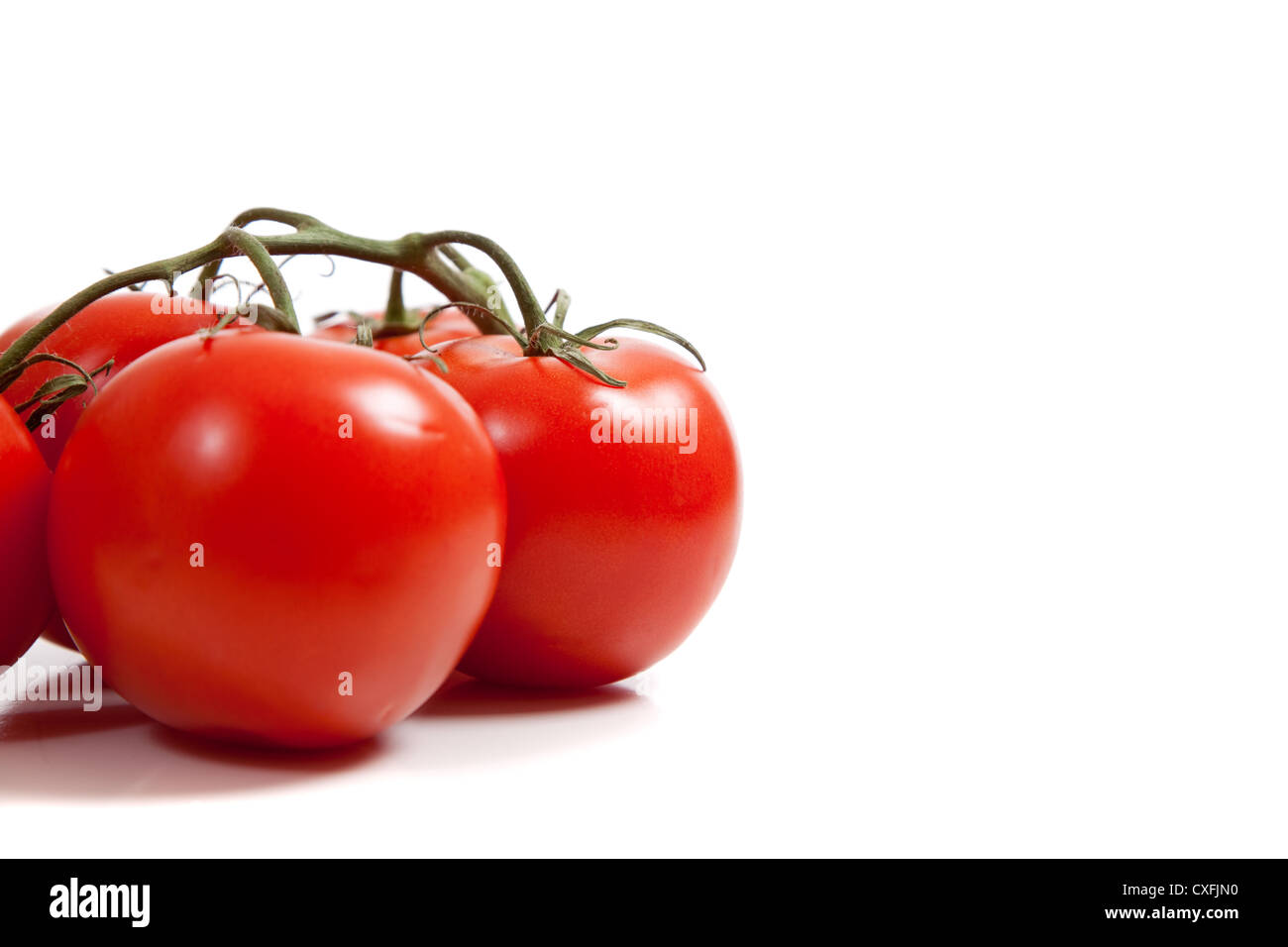 Rebe reife Tomaten auf einem weißen Hintergrund mit Textfreiraum Stockfoto