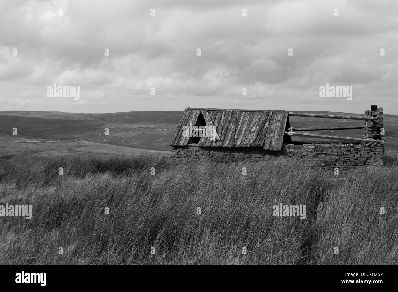 Blick über North Pennines Quickcleugh Moss Stockfoto