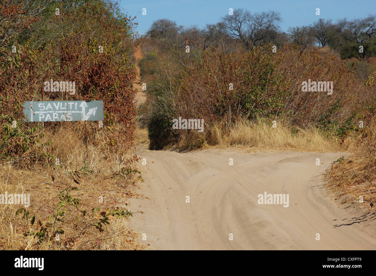 Botswana Safari Stockfoto