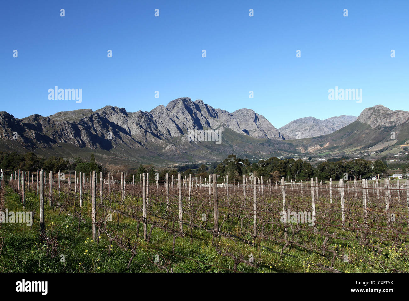 Blick über Franschhoek Valley von Rickety Bridge Weingut, Südafrika Stockfoto