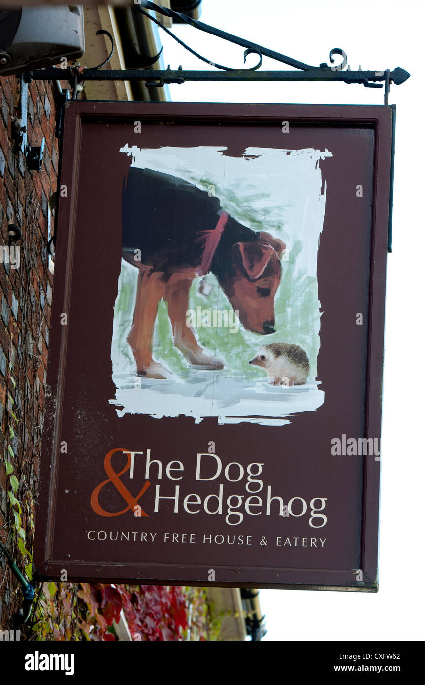 Der Hund und Igel Kneipe Zeichen, Dadlington, Leicestershire, UK Stockfoto