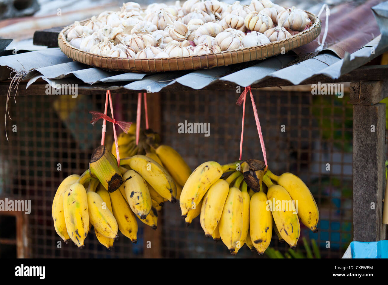 Bananen und Knoblauch auf einem Markt am Rawai Beach auf Phuket Stockfoto