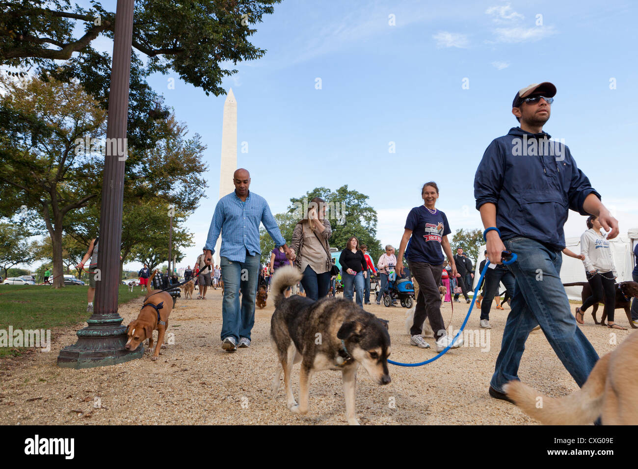 Eine große Gruppe von Menschen, die ihre Hunde - USA Stockfoto