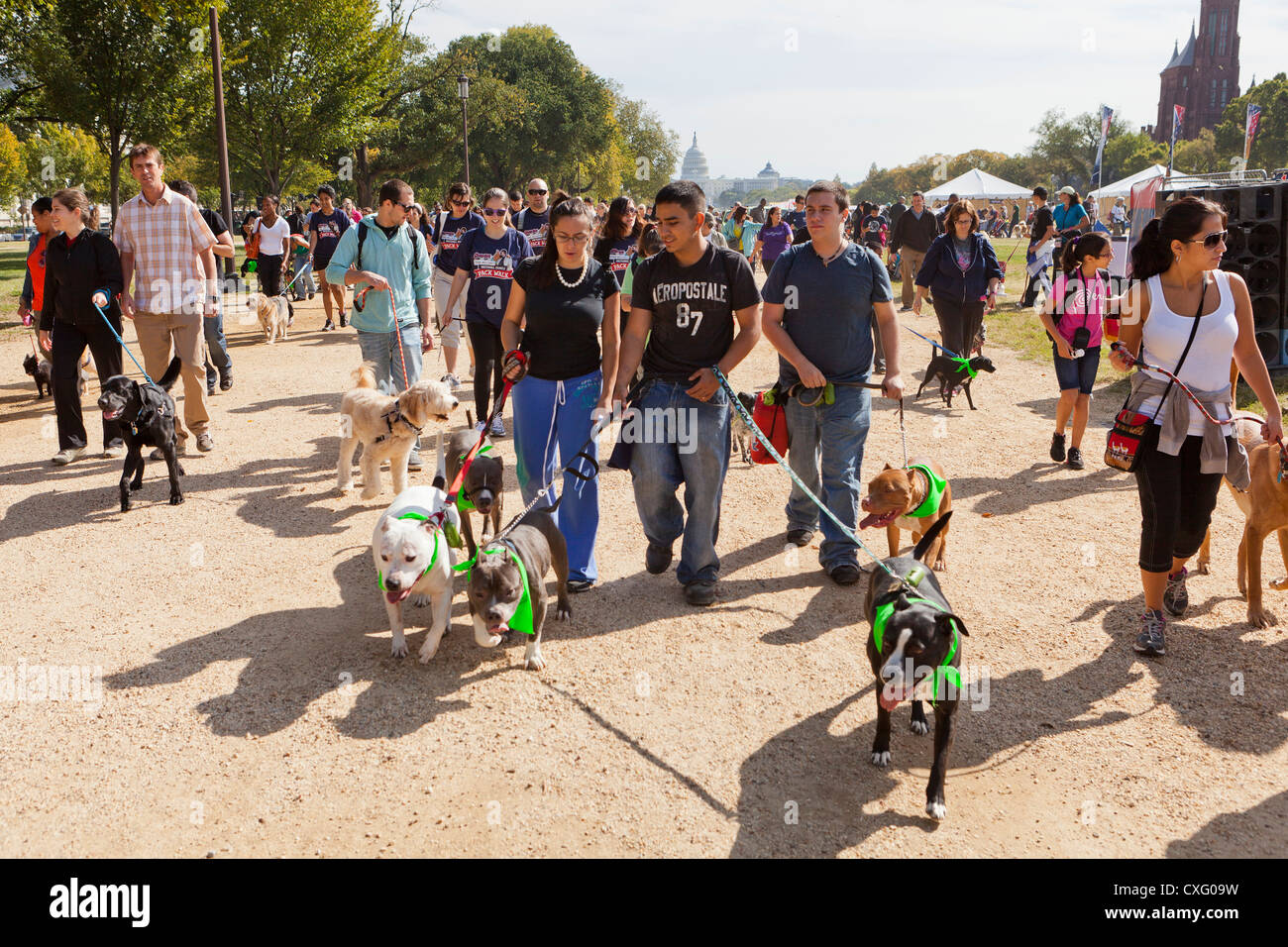 Eine große Gruppe von Menschen, die ihre Hunde Stockfoto