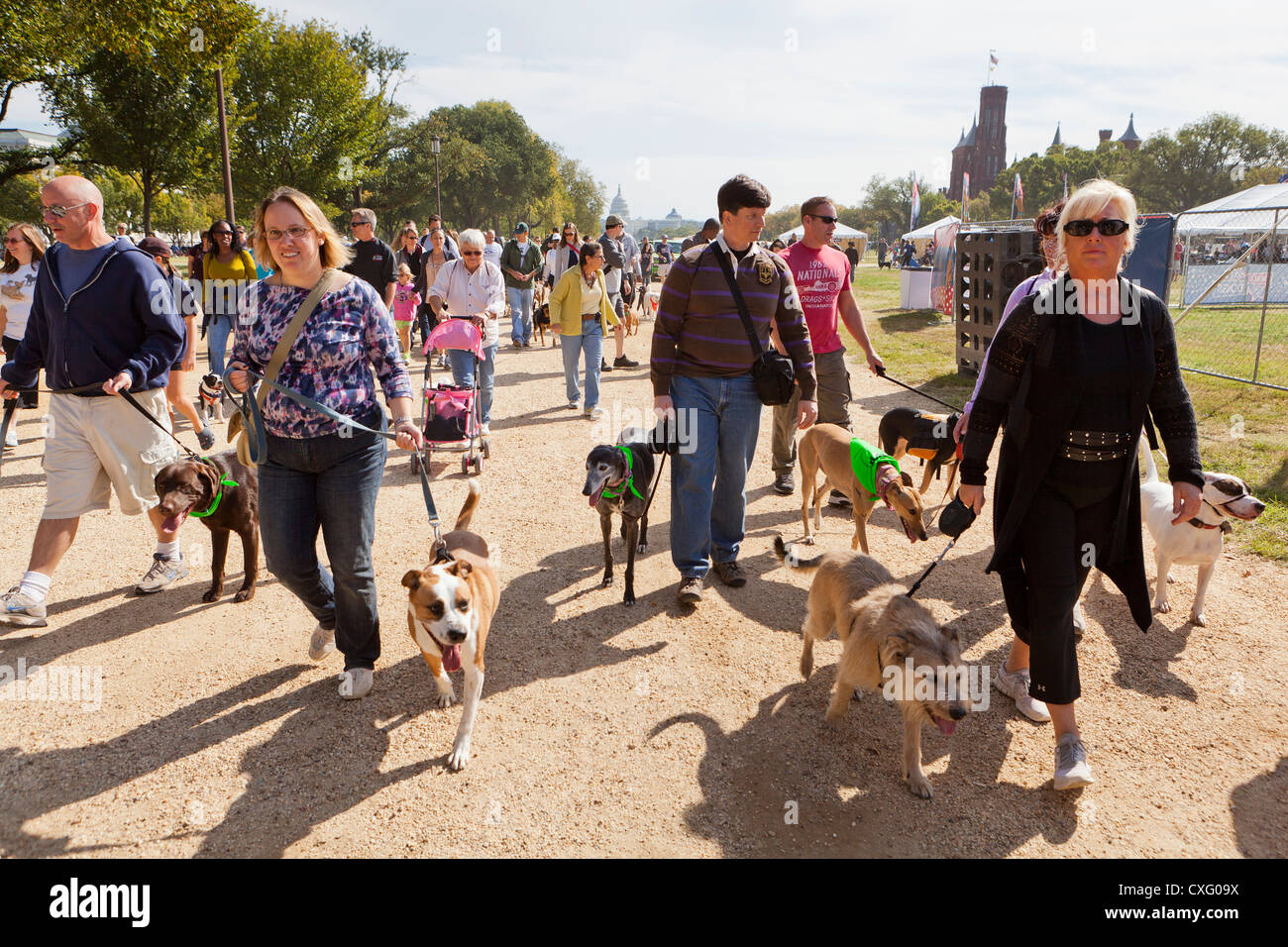 Eine große Gruppe von Menschen, die ihre Hunde Stockfoto