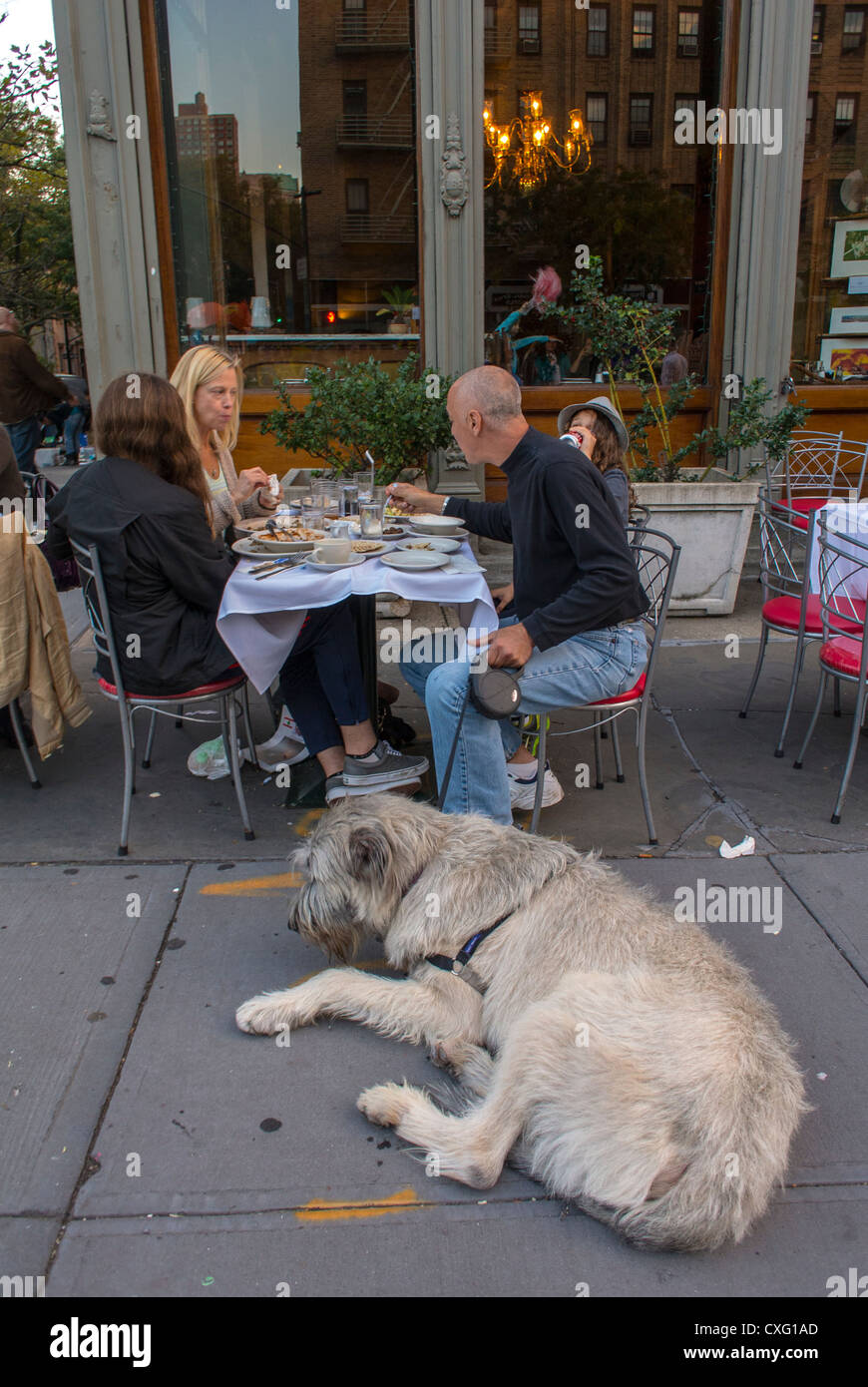 New York City, NY, USA, Gruppenmenschen, Essen auf der Terrasse teilen, Brooklyn Heights, 'Tripoli' Libanesisches Restaurant, Front, Dog at Table Stockfoto