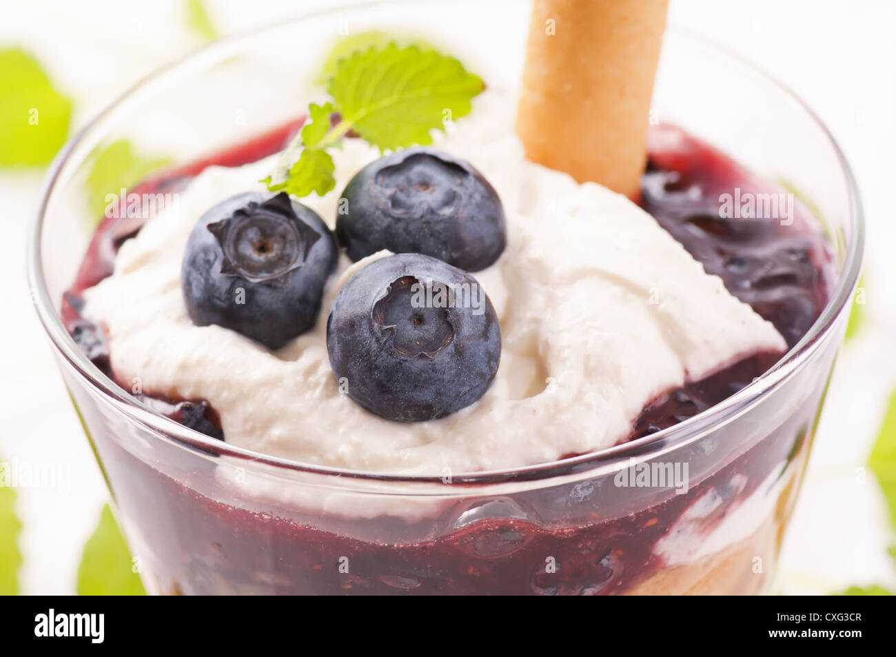 Blaubeeren Dessert mit Ricotta-Käse Stockfoto