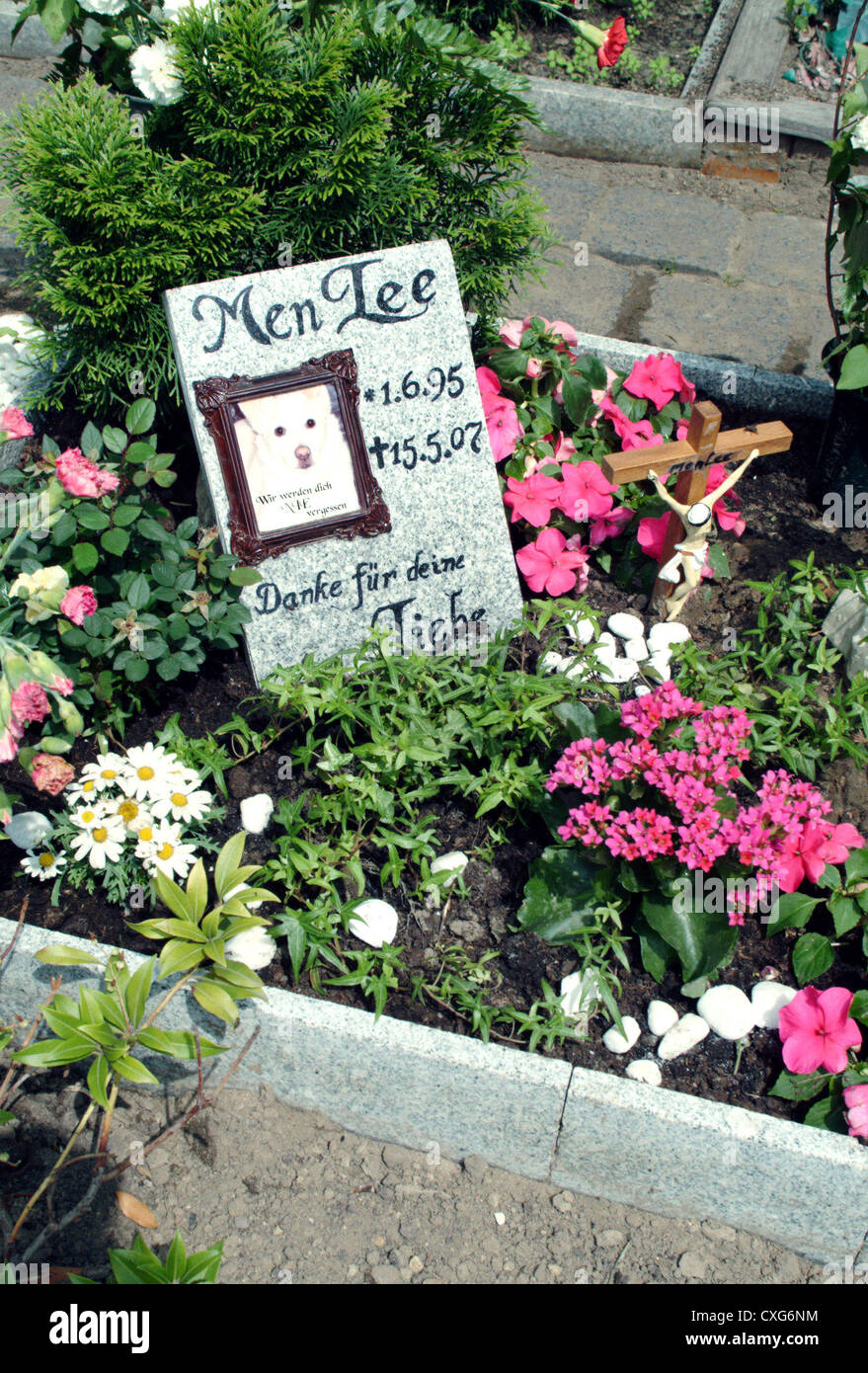 Berlin, Hunde-Grab in einem Tierfriedhof Stockfoto