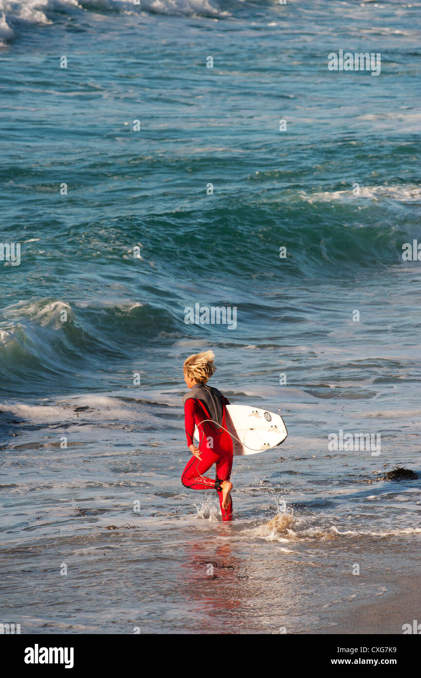 Ein Surfer, läuft in die Brandung bei Sennen in Cornwall Stockfoto