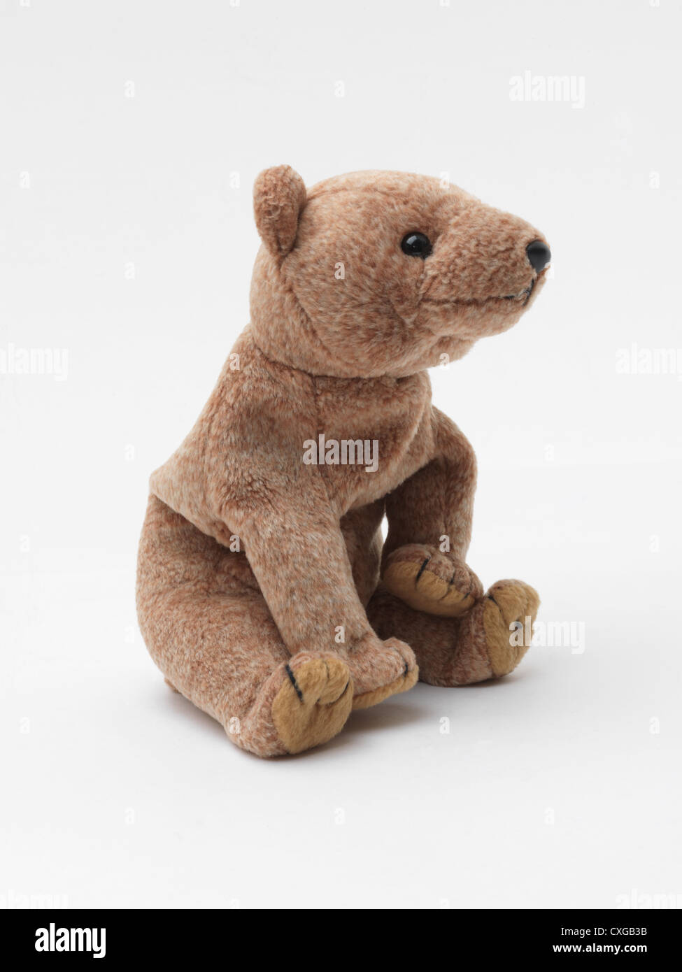 Beanie Baby Bear von Ty Stofftier Stockfoto