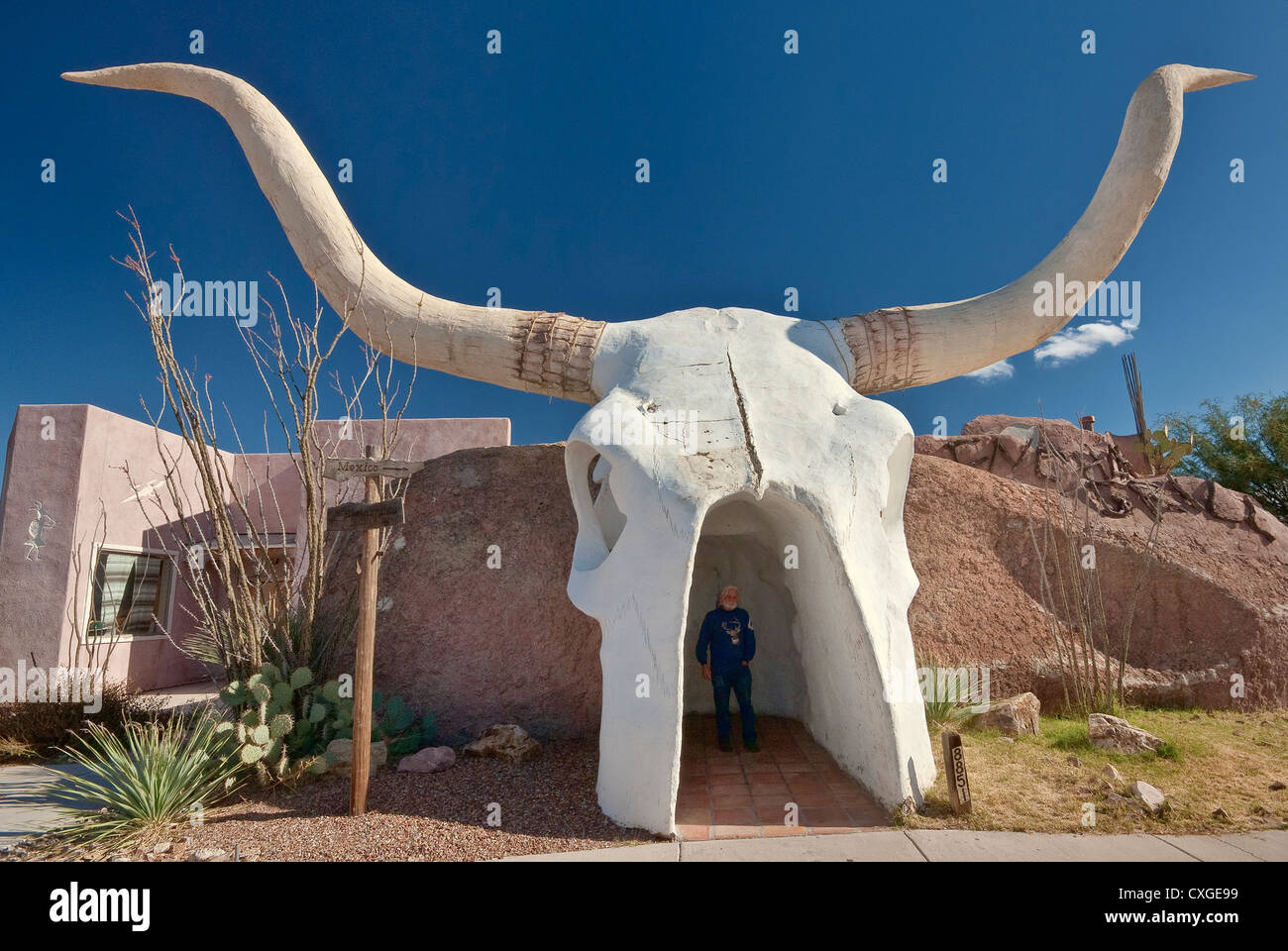 Riesigen Schädel am Eingang zu Longhorn Grillrestaurant an Arivaca Junction, Arizona, USA Stockfoto