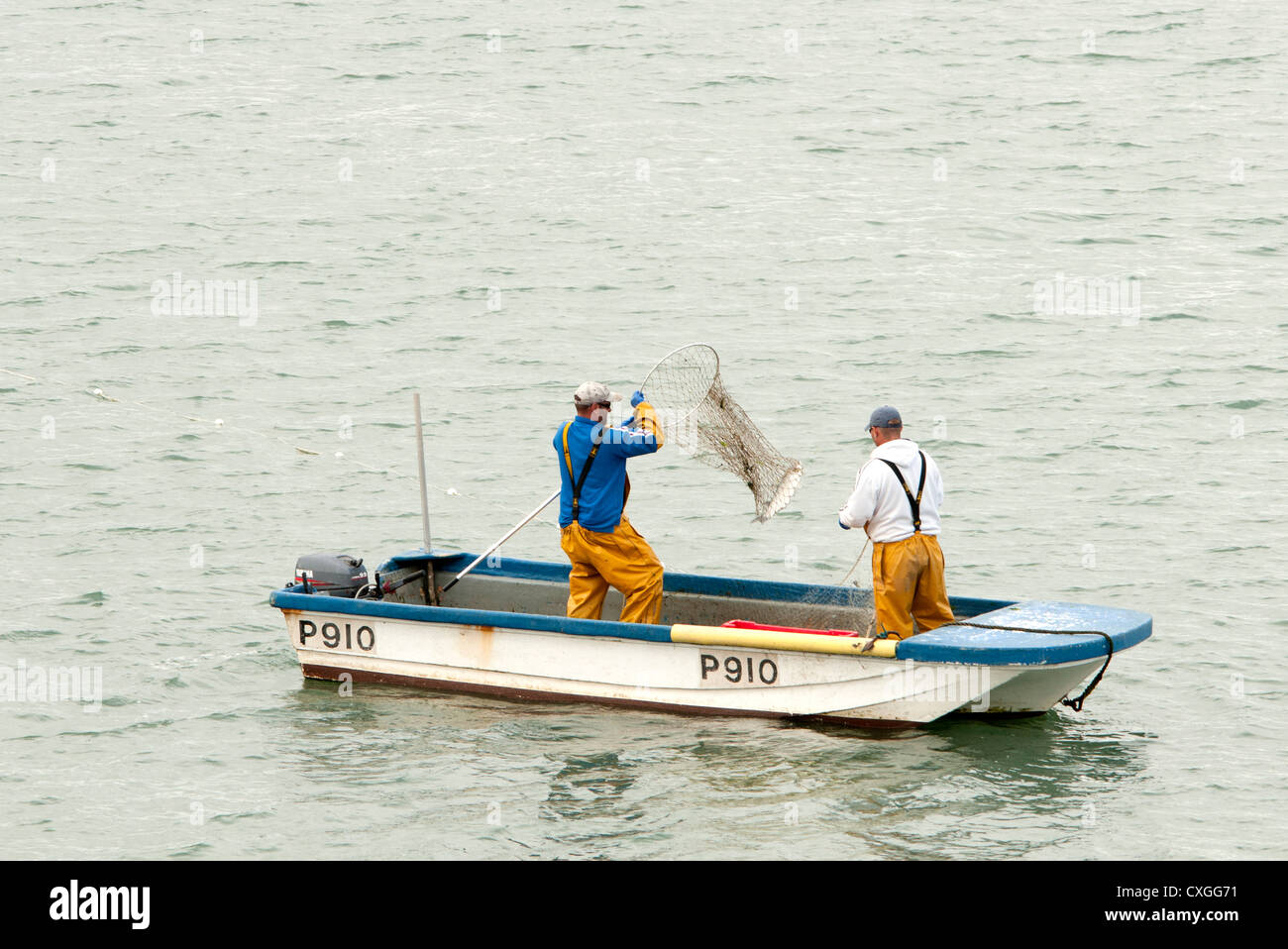 Zwei Fischer Fang von Fischen mit Netzen Stockfoto