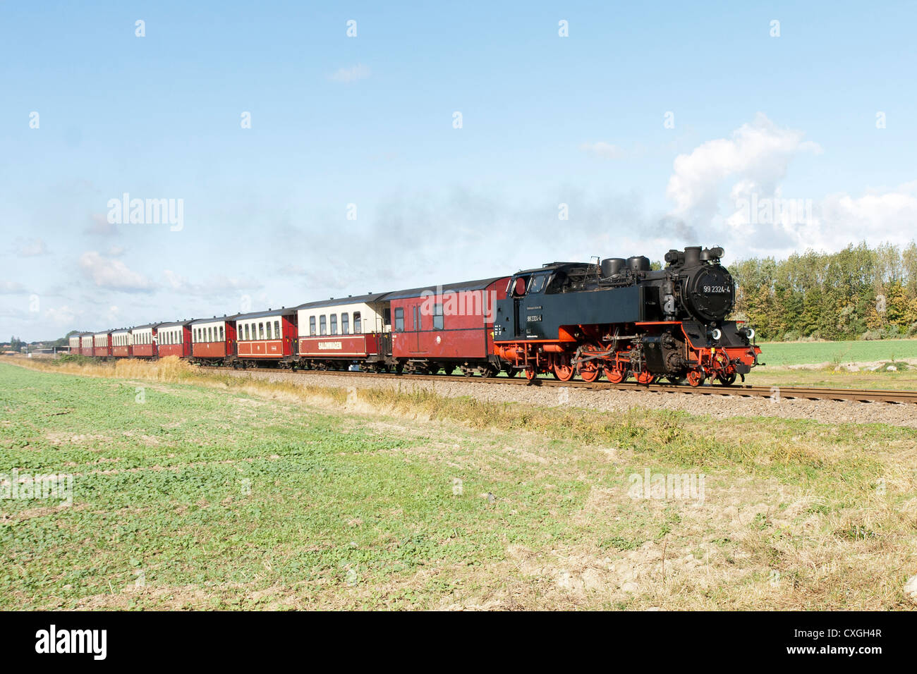 Dampflok zieht einen Personenzug. Der Molli-Bahn in Bad Doberan - Deutschland Stockfoto