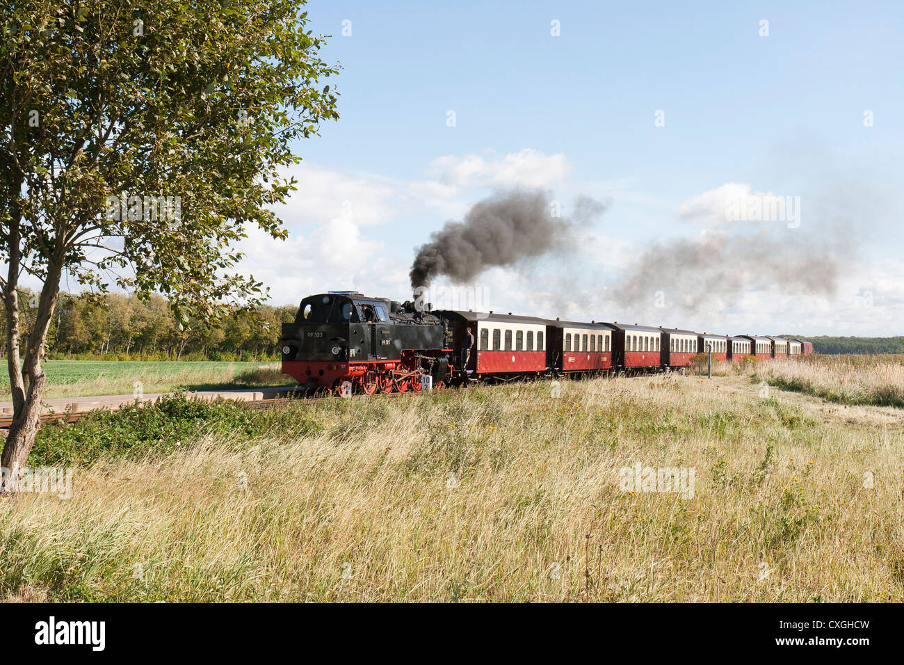 Dampflok zieht einen Personenzug. Der Molli-Bahn in Bad Doberan - Deutschland Stockfoto