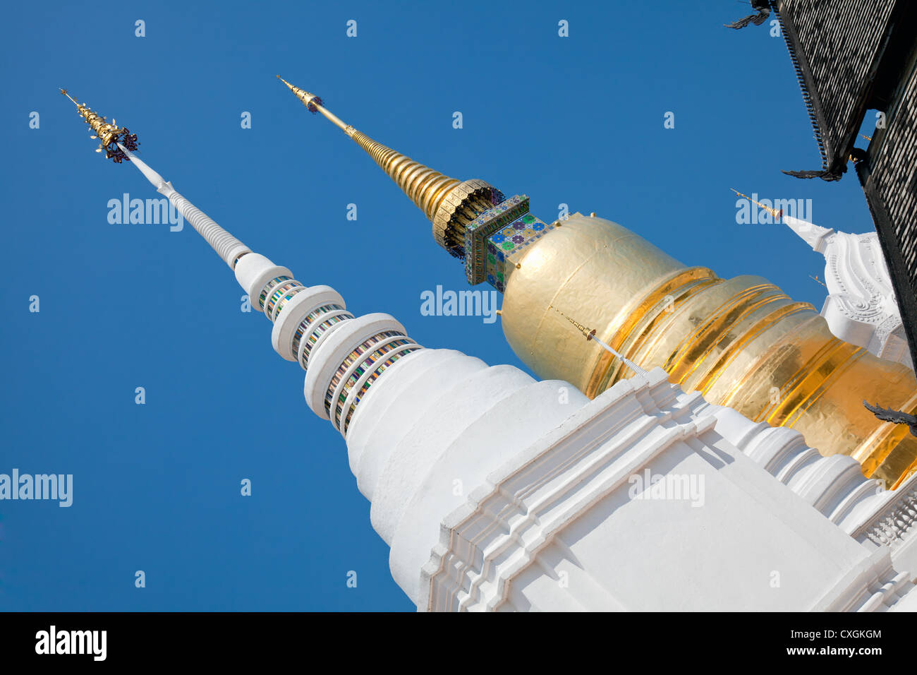 Goldene Chedi und weißen Stupas, Wat Suan Dok (Blume Garten Tempel), Chiang Mai, Thailand Stockfoto