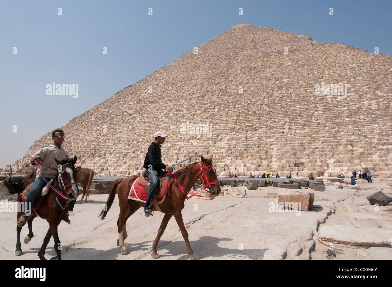 Pferde Giza Pyramiden Kairo Reiseführer Stockfoto