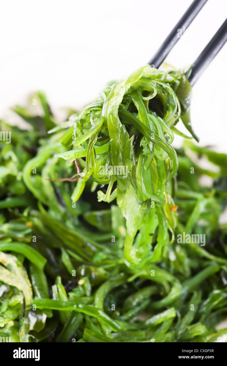 Frische Algen Salat Stockfoto