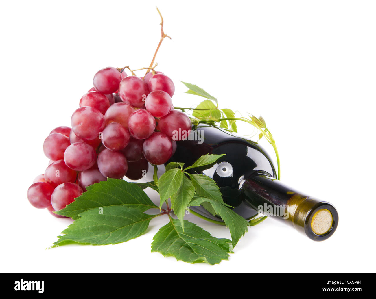 Flasche Rotwein mit Trauben, weißer Hintergrund Stockfoto