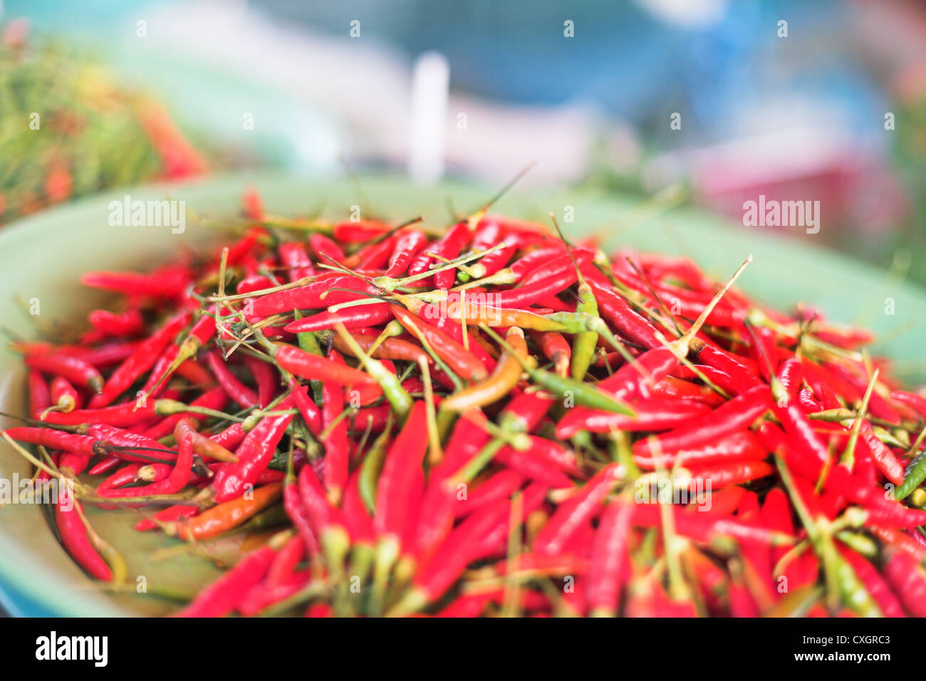 Hot Chili pepper Stockfoto