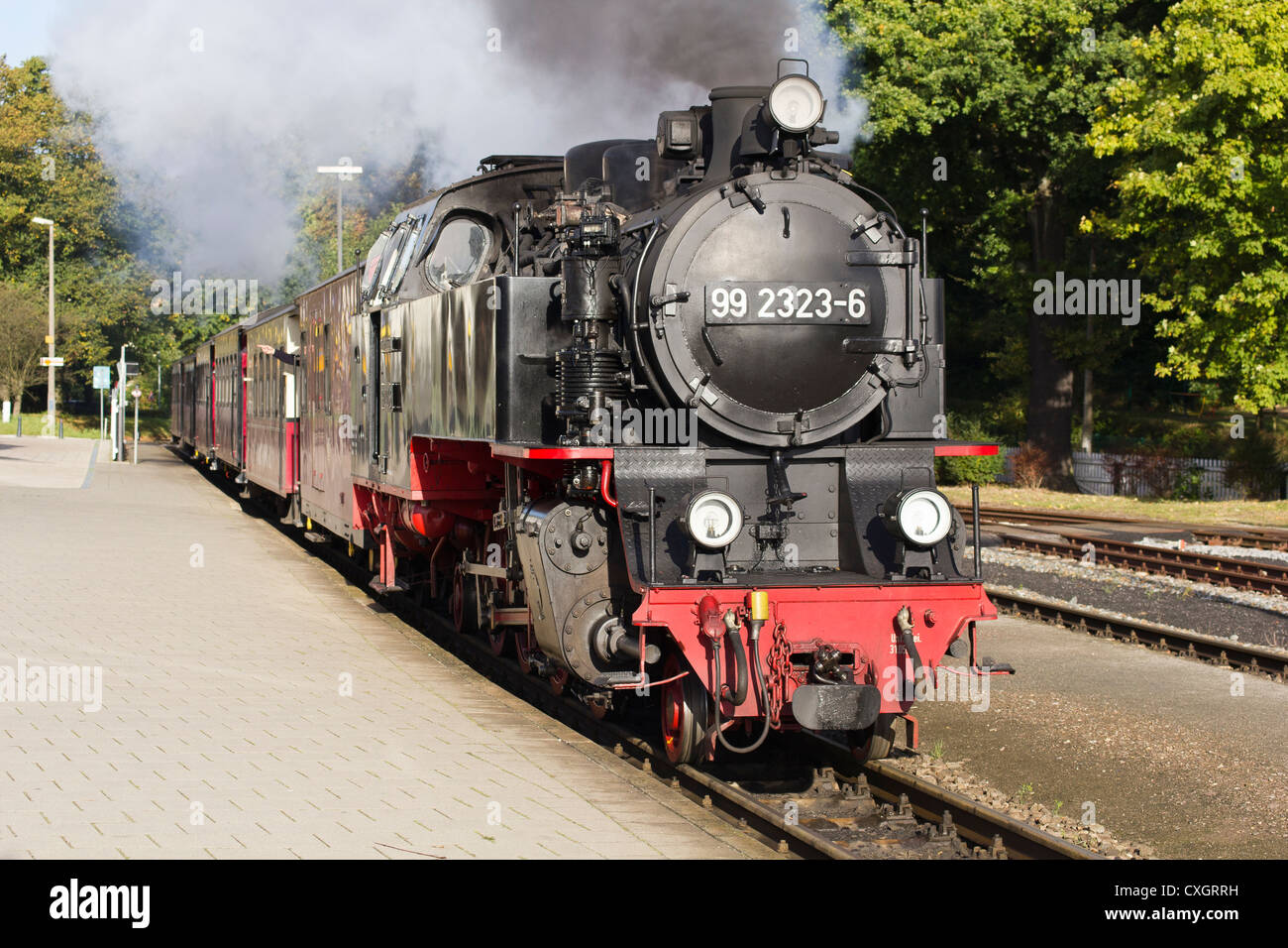 Dampflok zieht einen Personenzug. Der Molli-Bahn in Bad Doberan - Deutschland Stockfoto