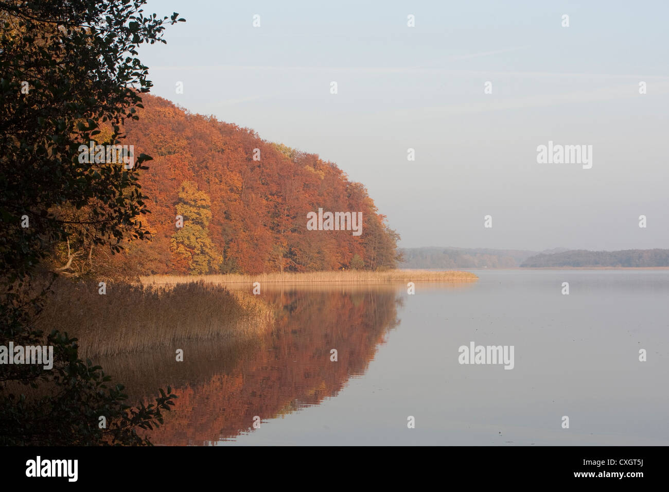 Breiter Luzin, Feldberger Seenlandschaft, Landkreis Mecklenburgische Seenplatte, Mecklenburg-Vorpommern, Deutschland Stockfoto