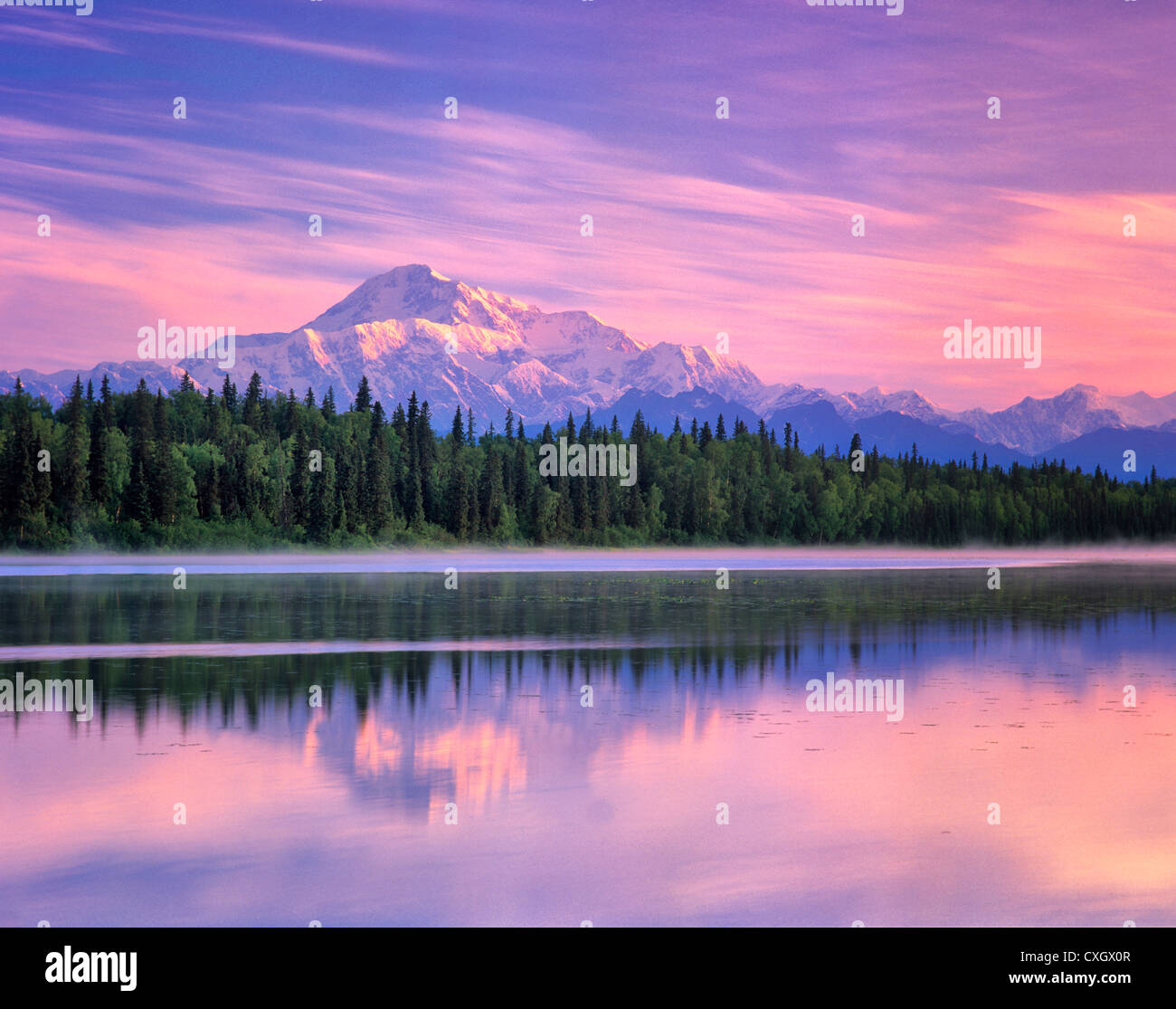 Mt. McKinley spiegelt sich in kleinen Teich in der Nähe von Talkeetna, Alaska Stockfoto