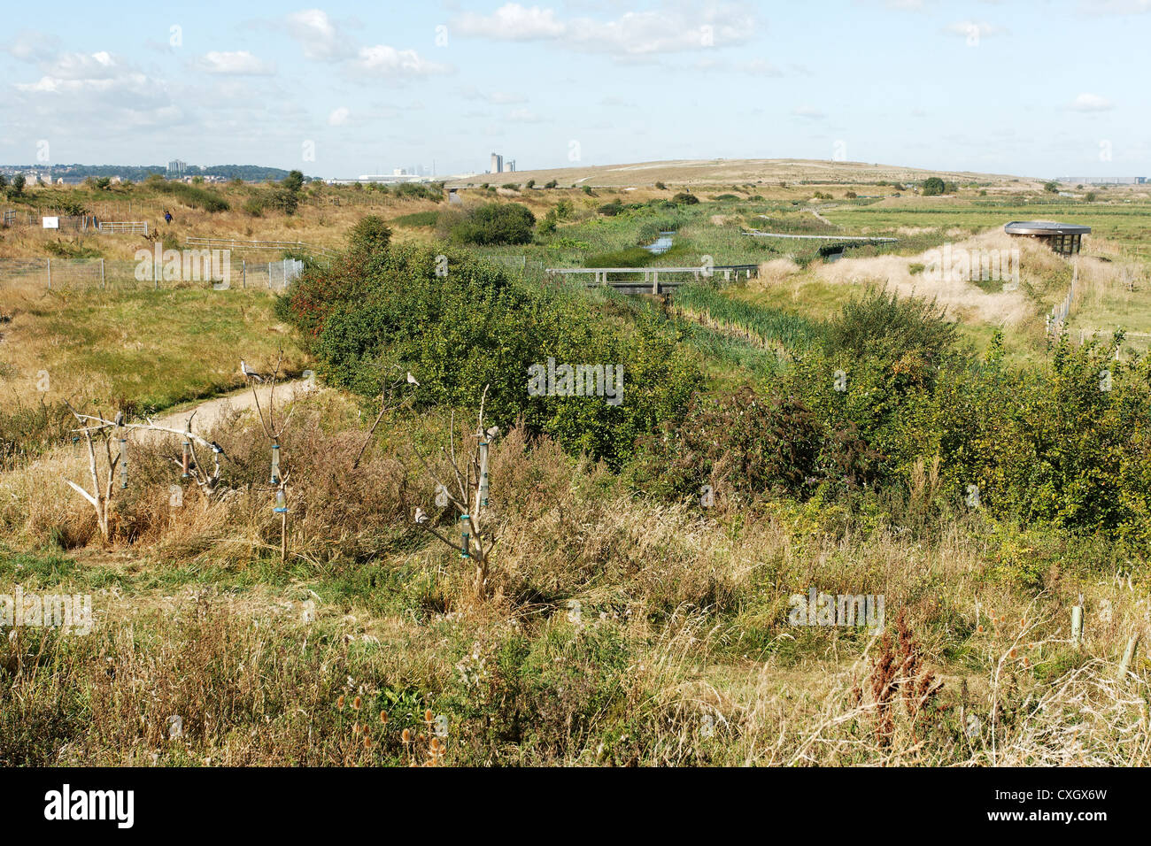 Rainham Sümpfe RSPB Reserve, Essex, September 2012 Stockfoto