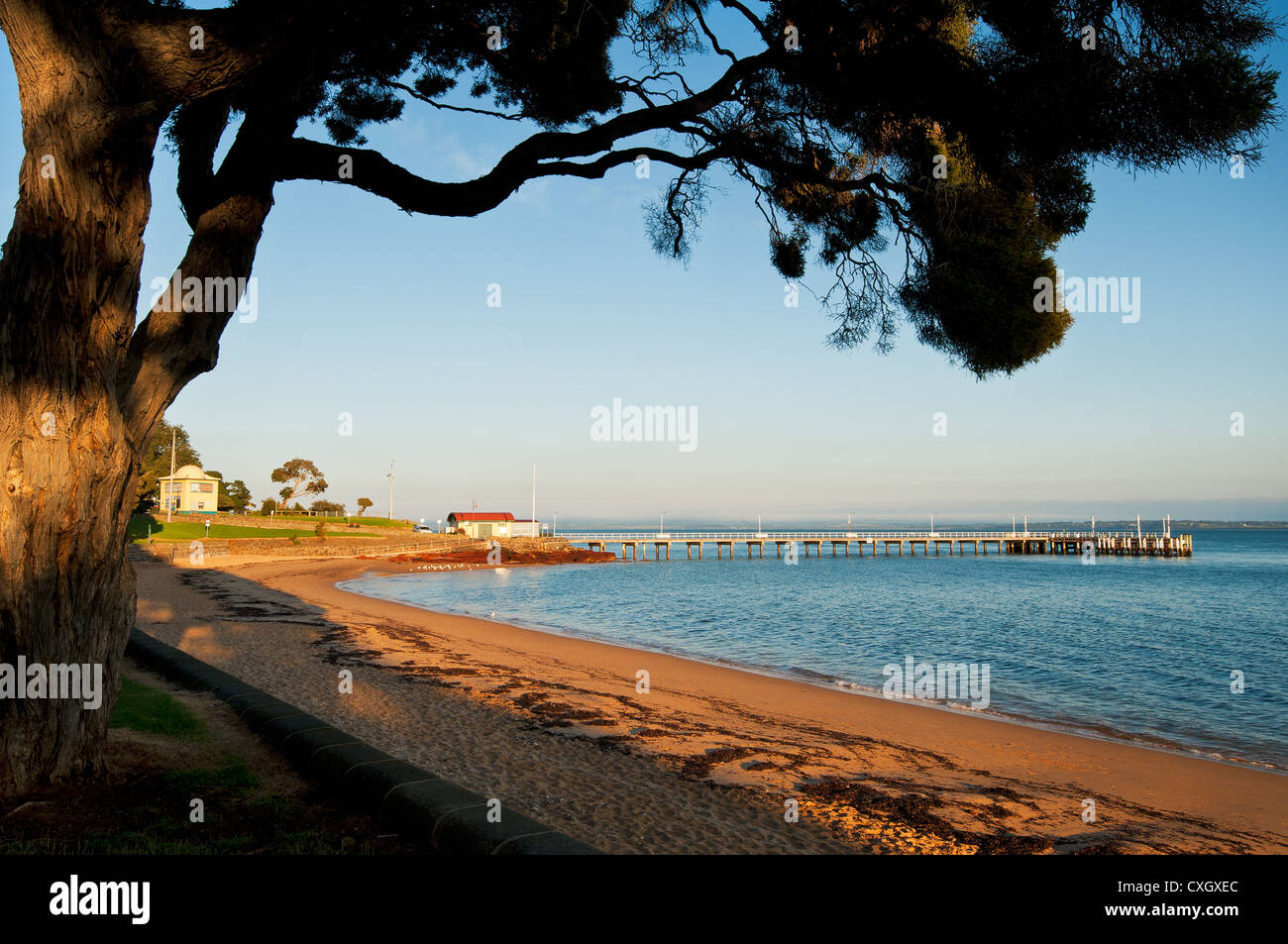 Cowes Steg im frühen Morgenlicht. Stockfoto