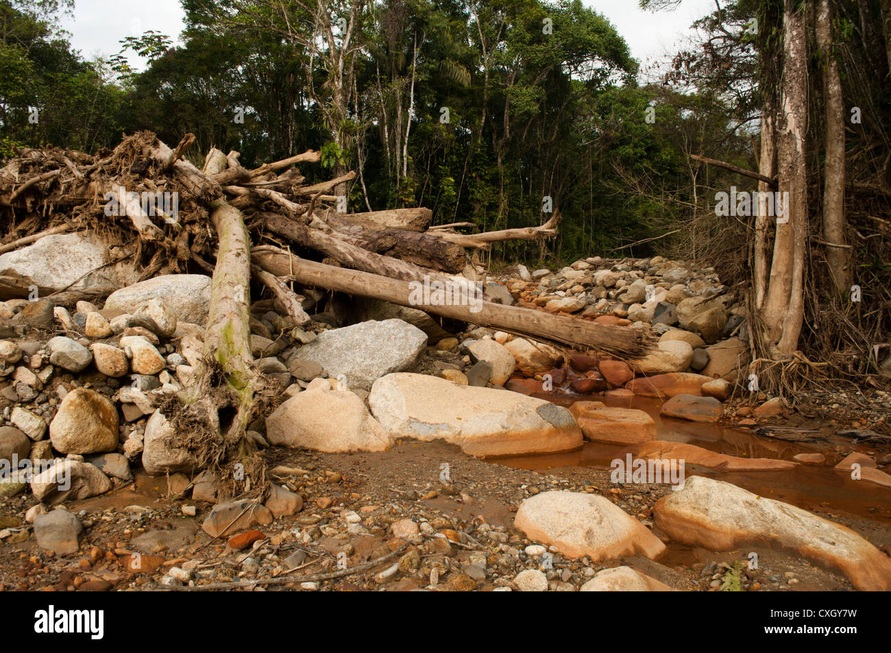 Erdrutsch-Tragödie verursacht durch Regen im Bundesstaat Paraná, Süd-Brasilien Stockfoto