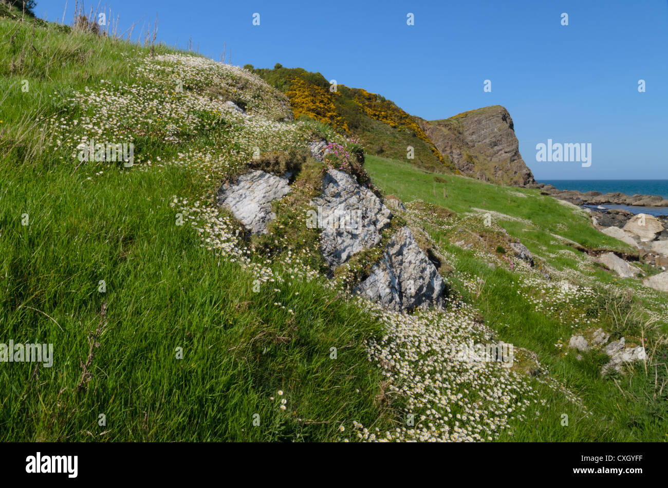 Eine Nase geformten Felsen auf einer irischen Landschaft entlang der Küste von North Antrim, Nordirland Stockfoto