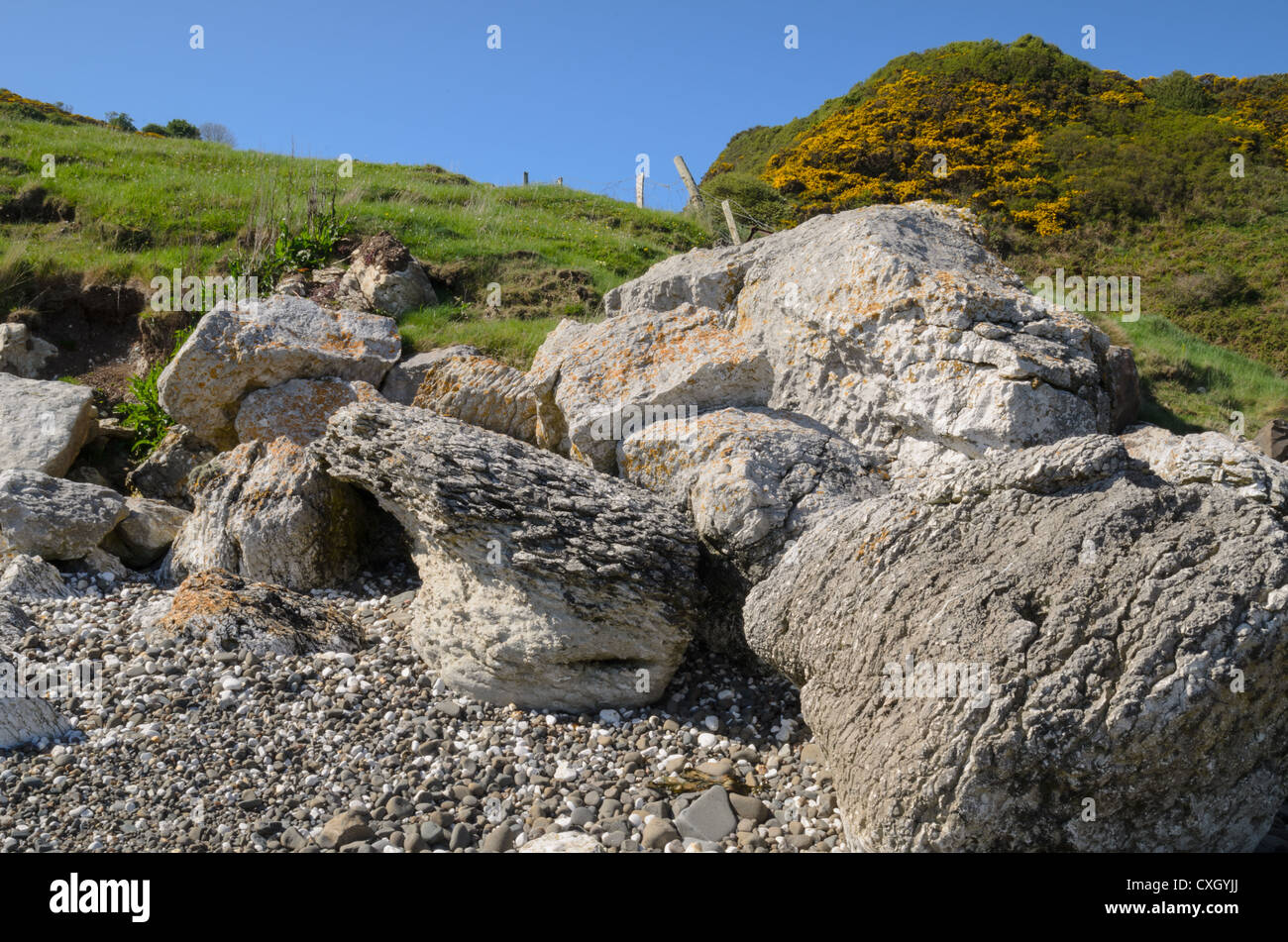 Eine eigenartige Felsformation am Strand Küste von North Antrim, Irland. Stockfoto