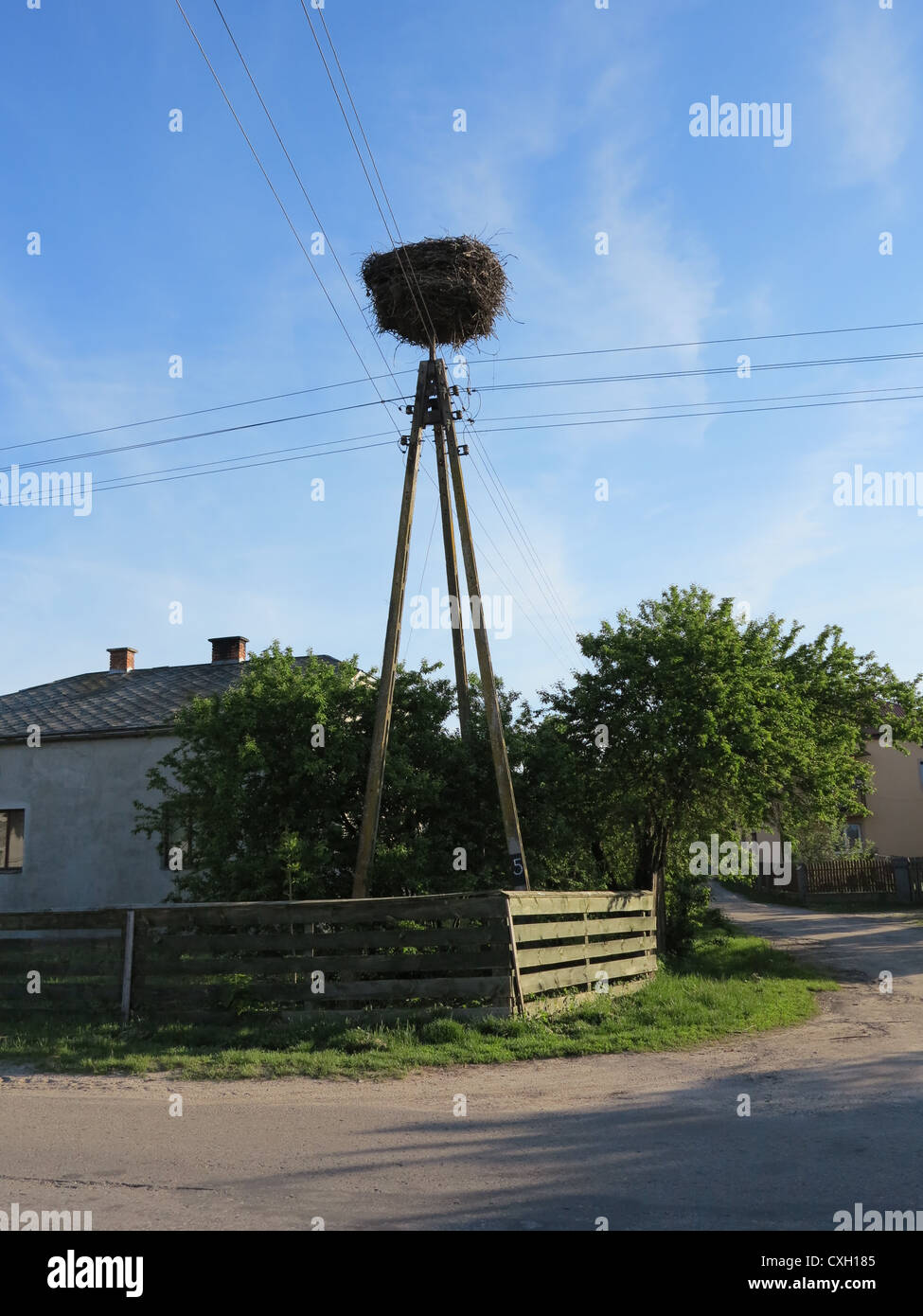 Storchennest im Plazow Dorf in Polen Stockfoto