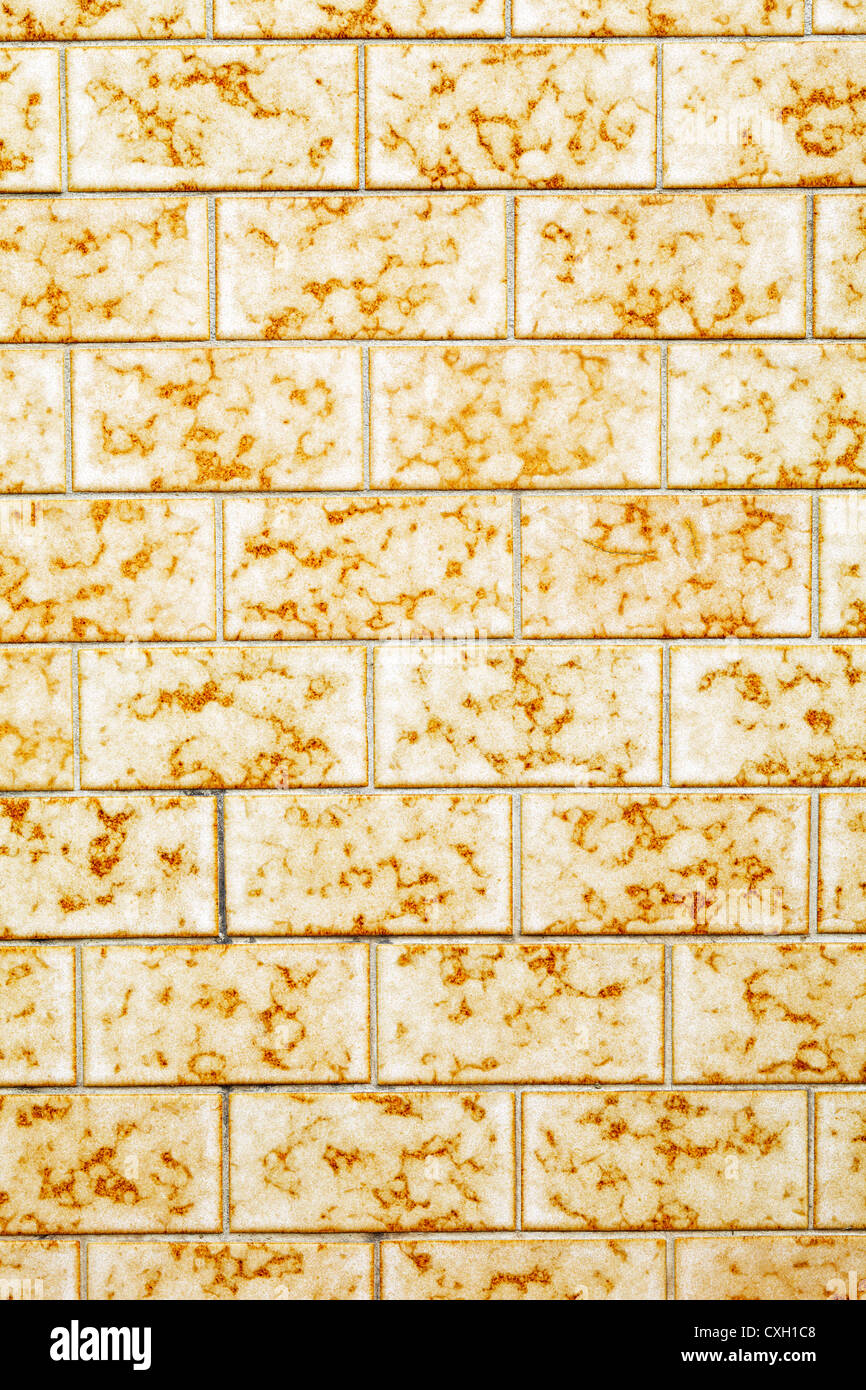 Nahaufnahme einer gefliesten Wand, outdoor, Saarland / Deutschland Stockfoto