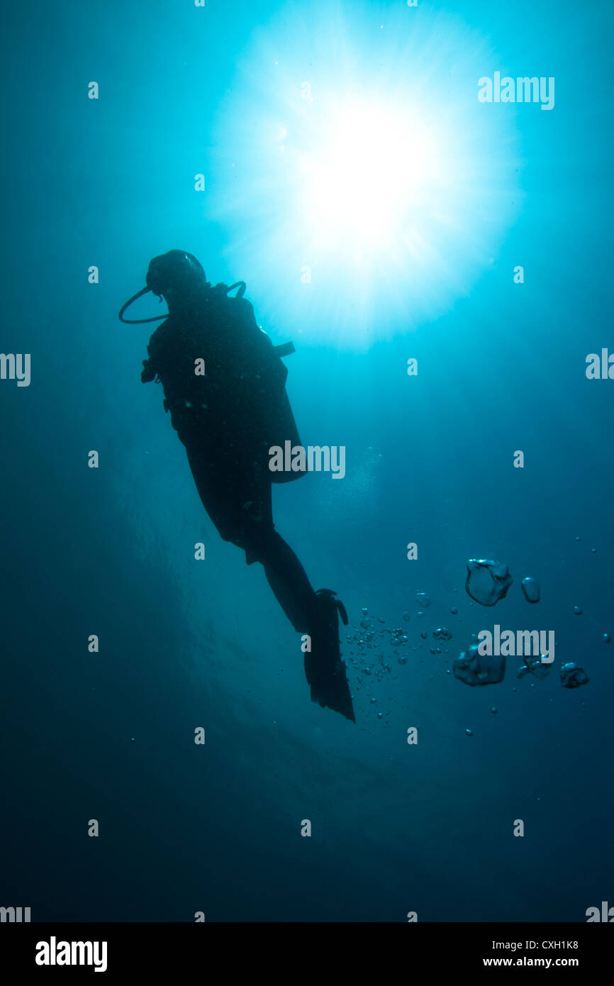 Silhouette eines jeden Tauchers im Blauwasser, Gegenlicht und Sonnenball. Stockfoto