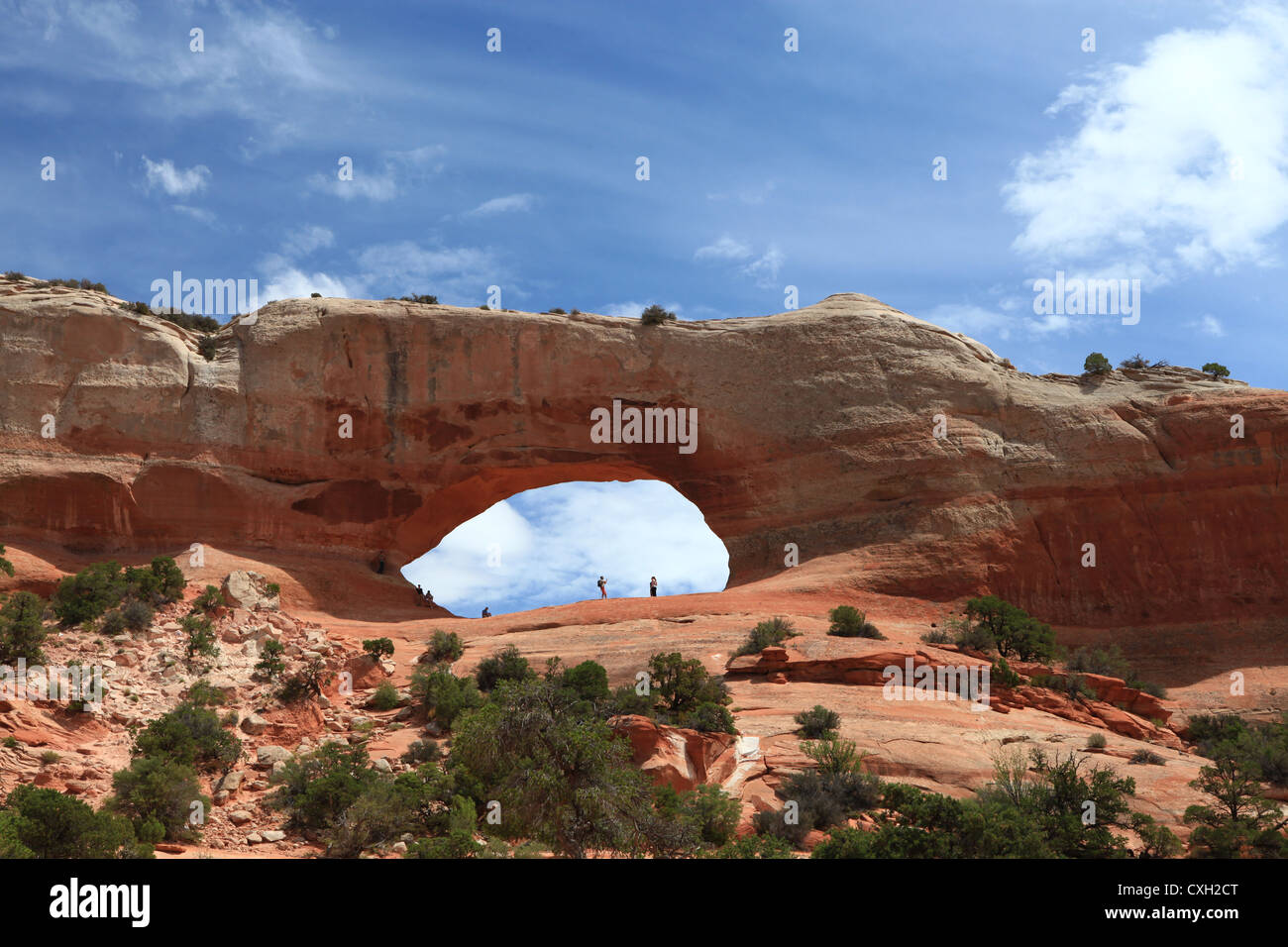 Wilson Arch, ein riesiger natürlichen Sandstein Bogen in Moab, Utah, USA Stockfoto